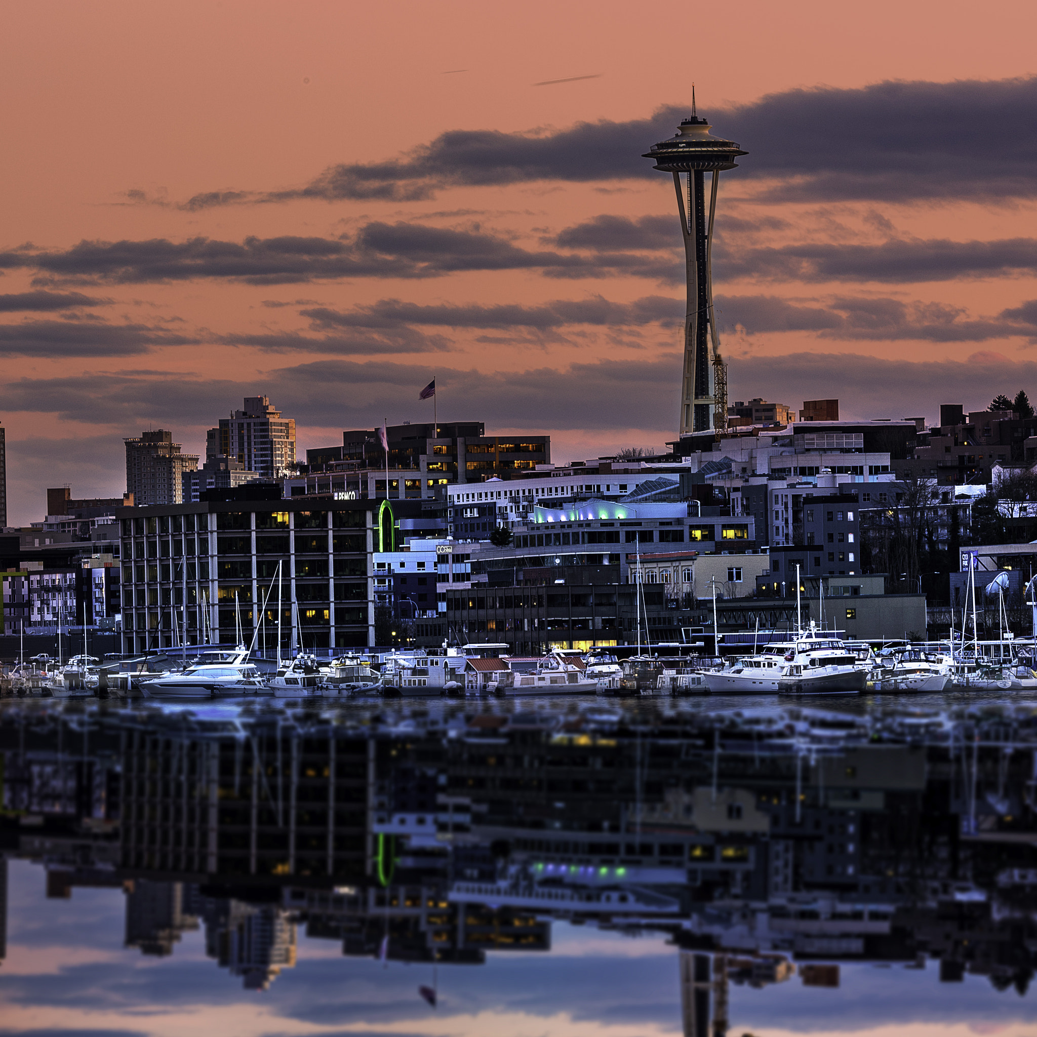 Nikon D810 sample photo. Lake union reflection photography