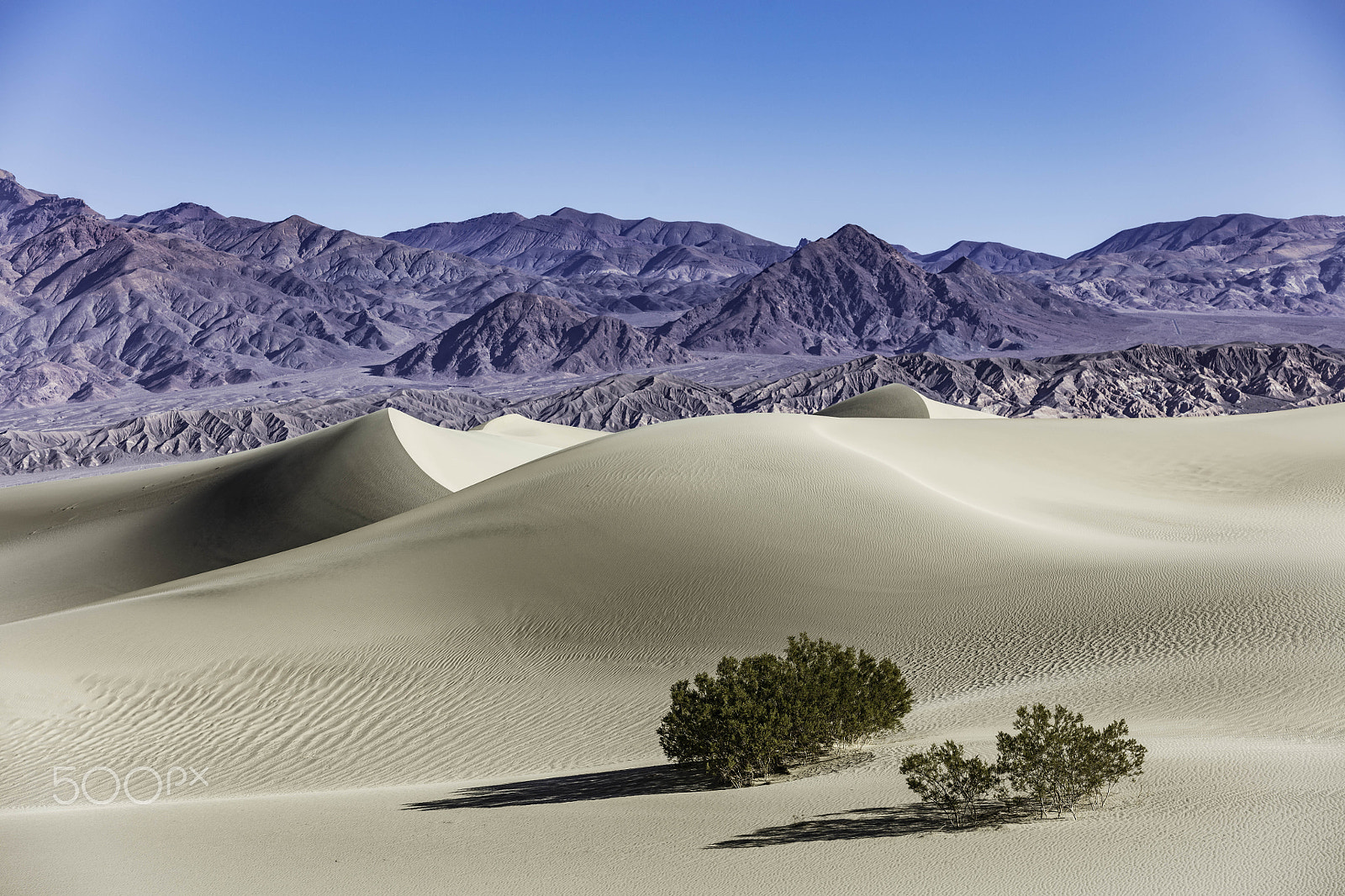 Canon EOS 5DS R + Canon EF 70-200mm F2.8L USM sample photo. Sand dunes in death valley national park photography