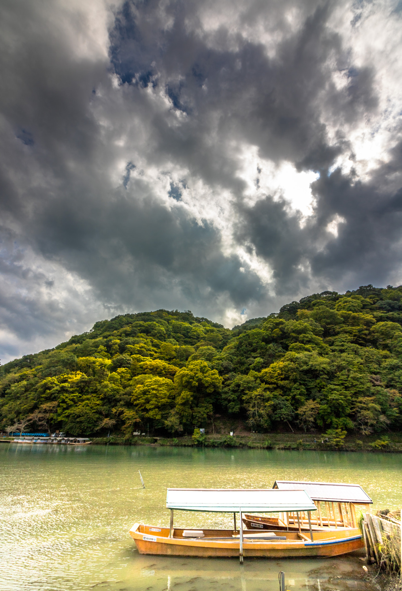 Canon EOS 760D (EOS Rebel T6s / EOS 8000D) + Canon EF-S 10-18mm F4.5–5.6 IS STM sample photo. Kyoto - arashiyama photography