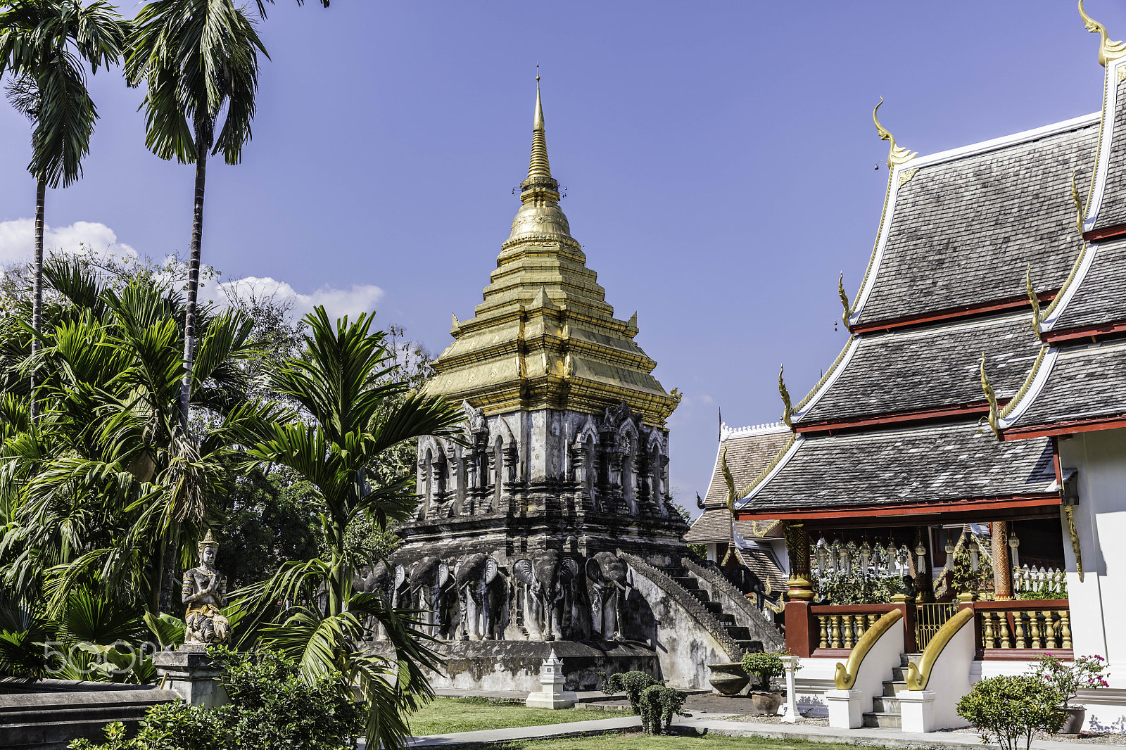 Canon EF 24-70mm F2.8L II USM sample photo. The elephant temple photography