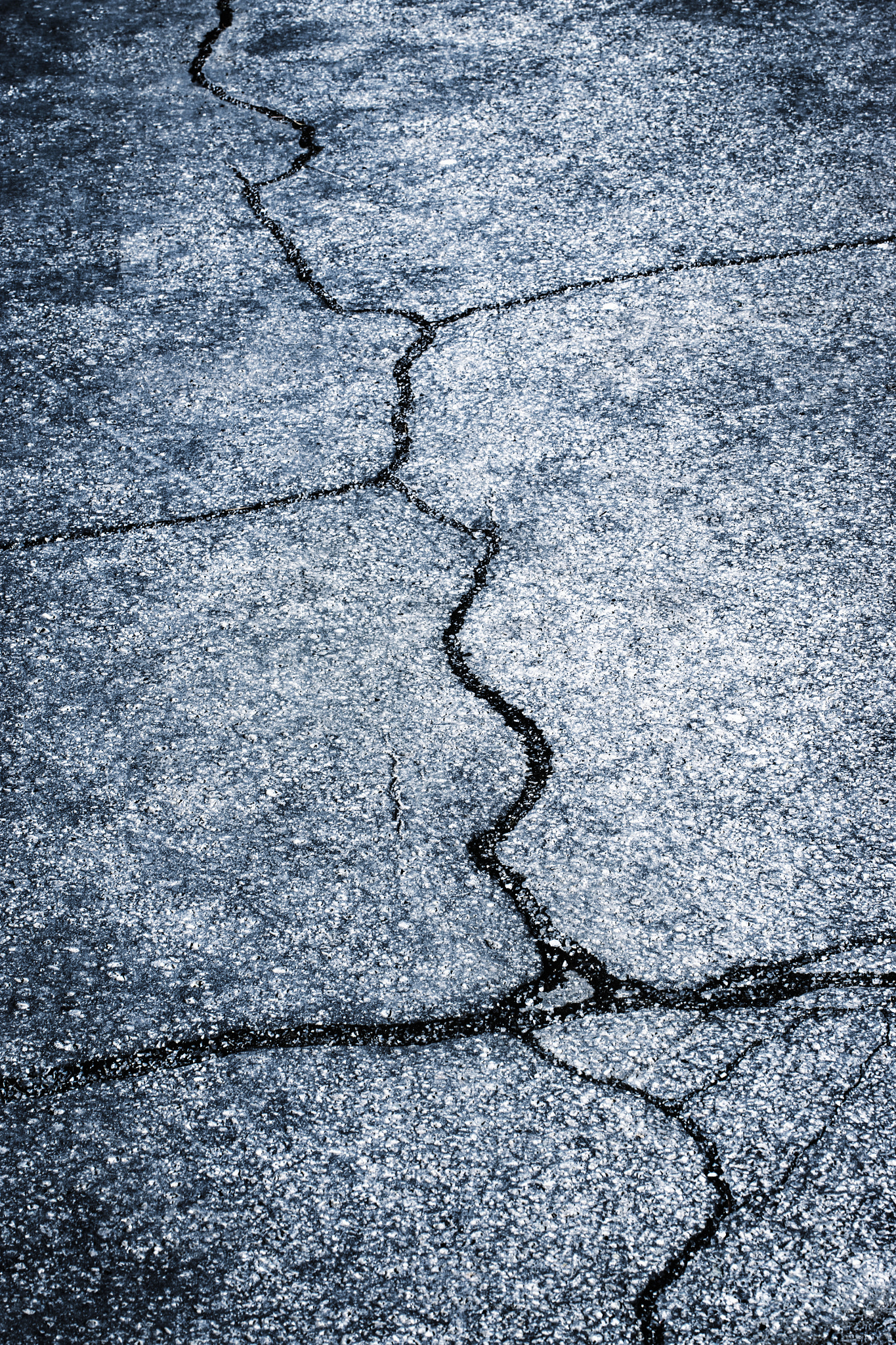 Nikon D5500 sample photo. Cracks on a dark asphalt photography
