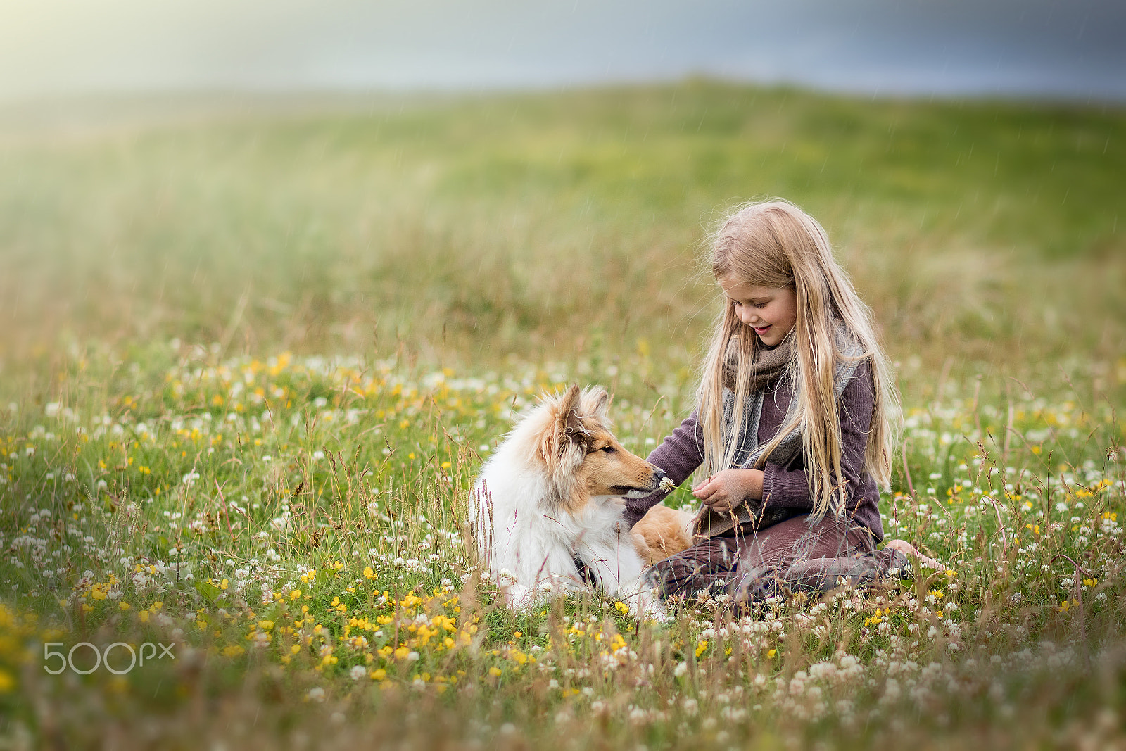 Canon EF 85mm F1.8 USM sample photo. Soft day photography