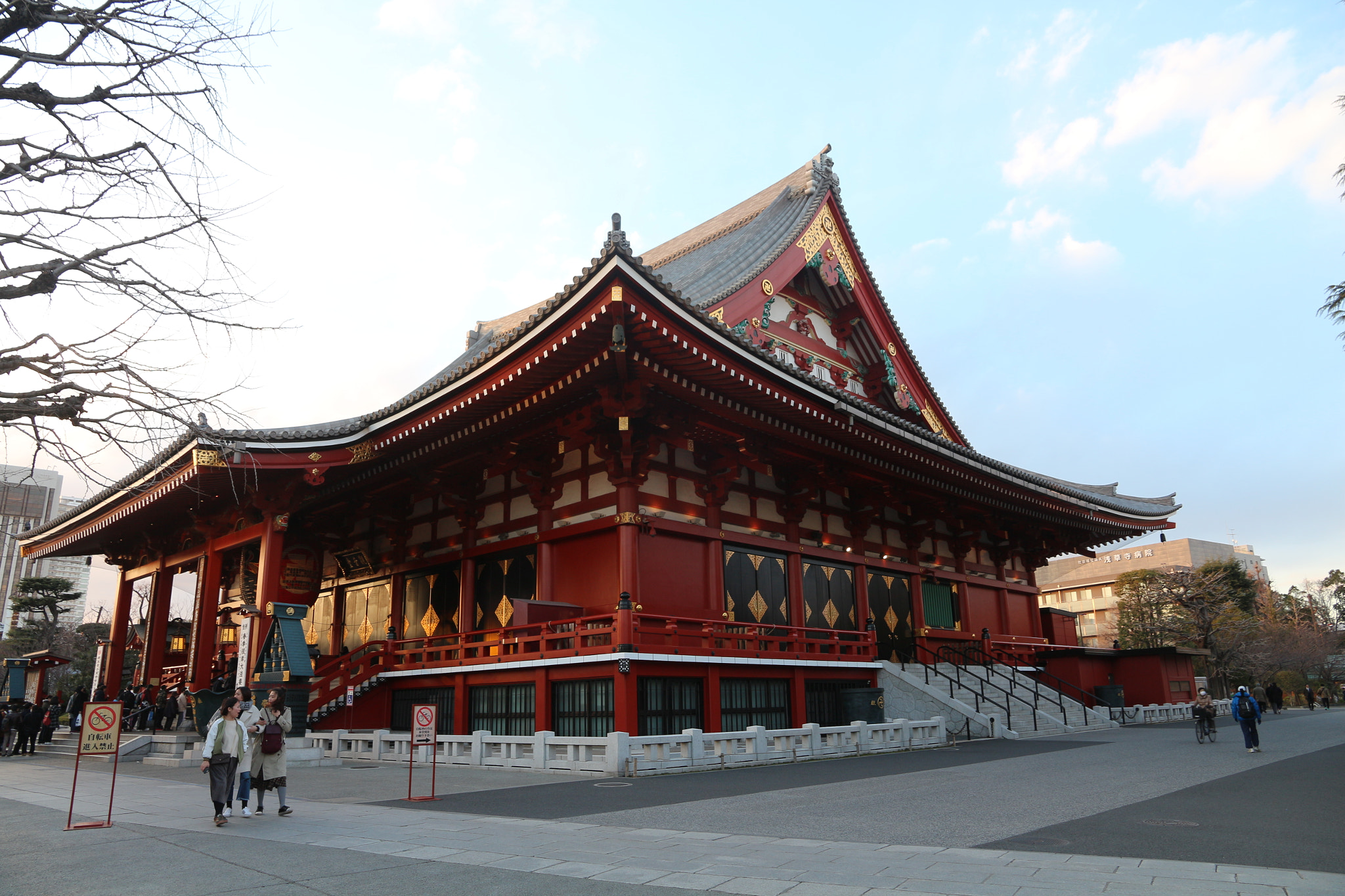 Canon EOS 650D (EOS Rebel T4i / EOS Kiss X6i) sample photo. Img photography
