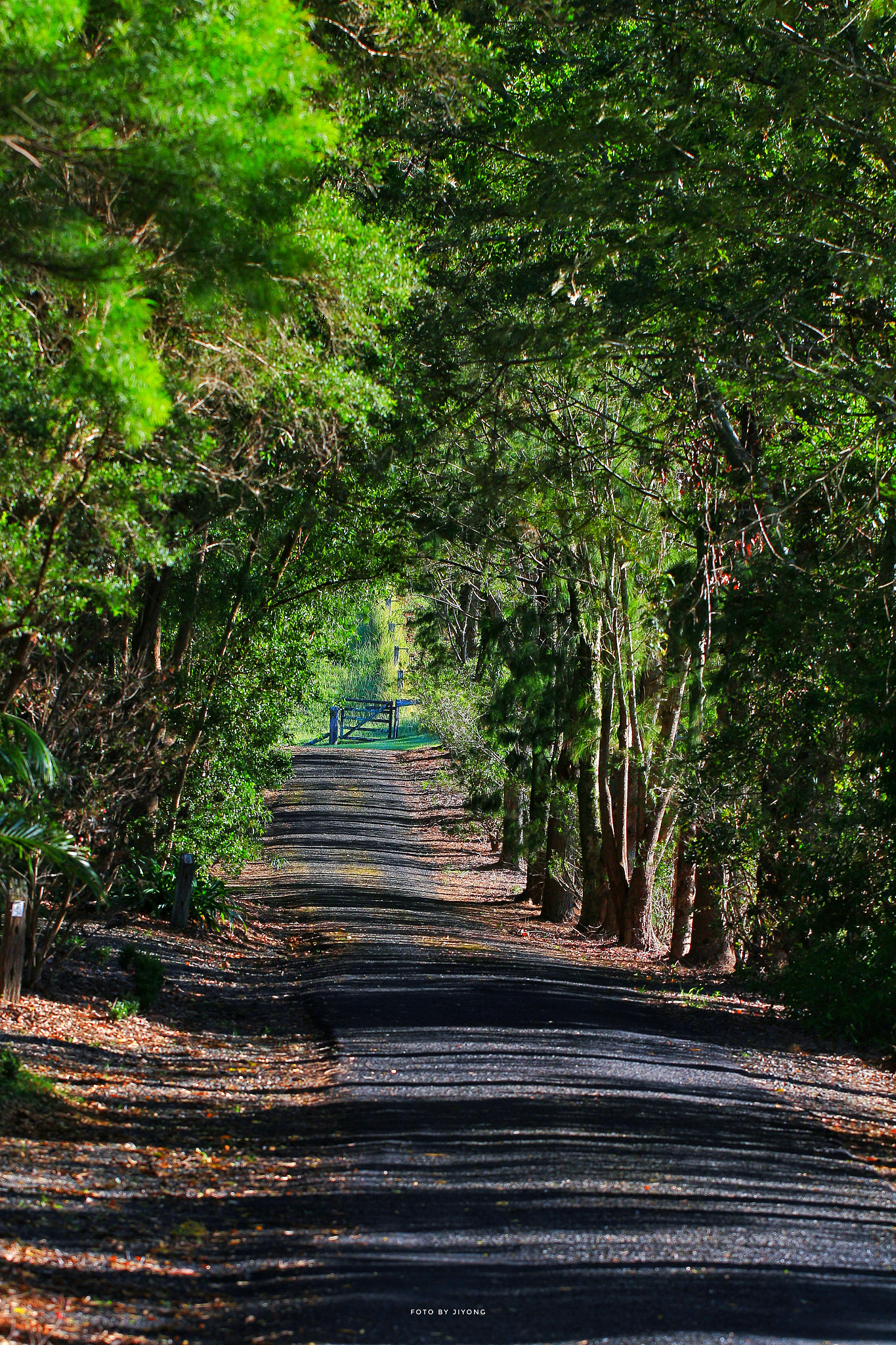 Canon EOS M sample photo. Road photography