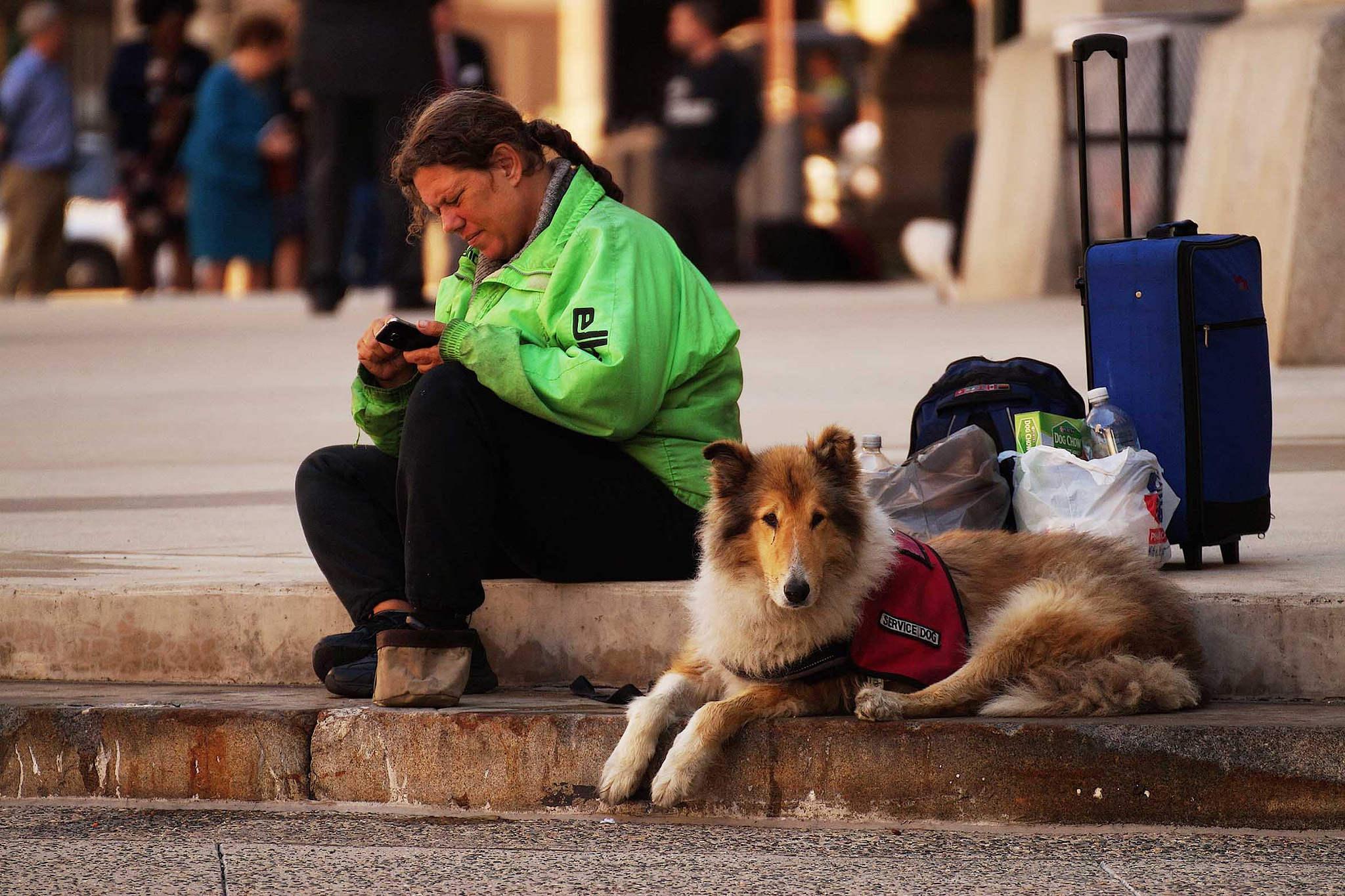 Tamron SP 70-300mm F4-5.6 Di USD sample photo. Service dog photography