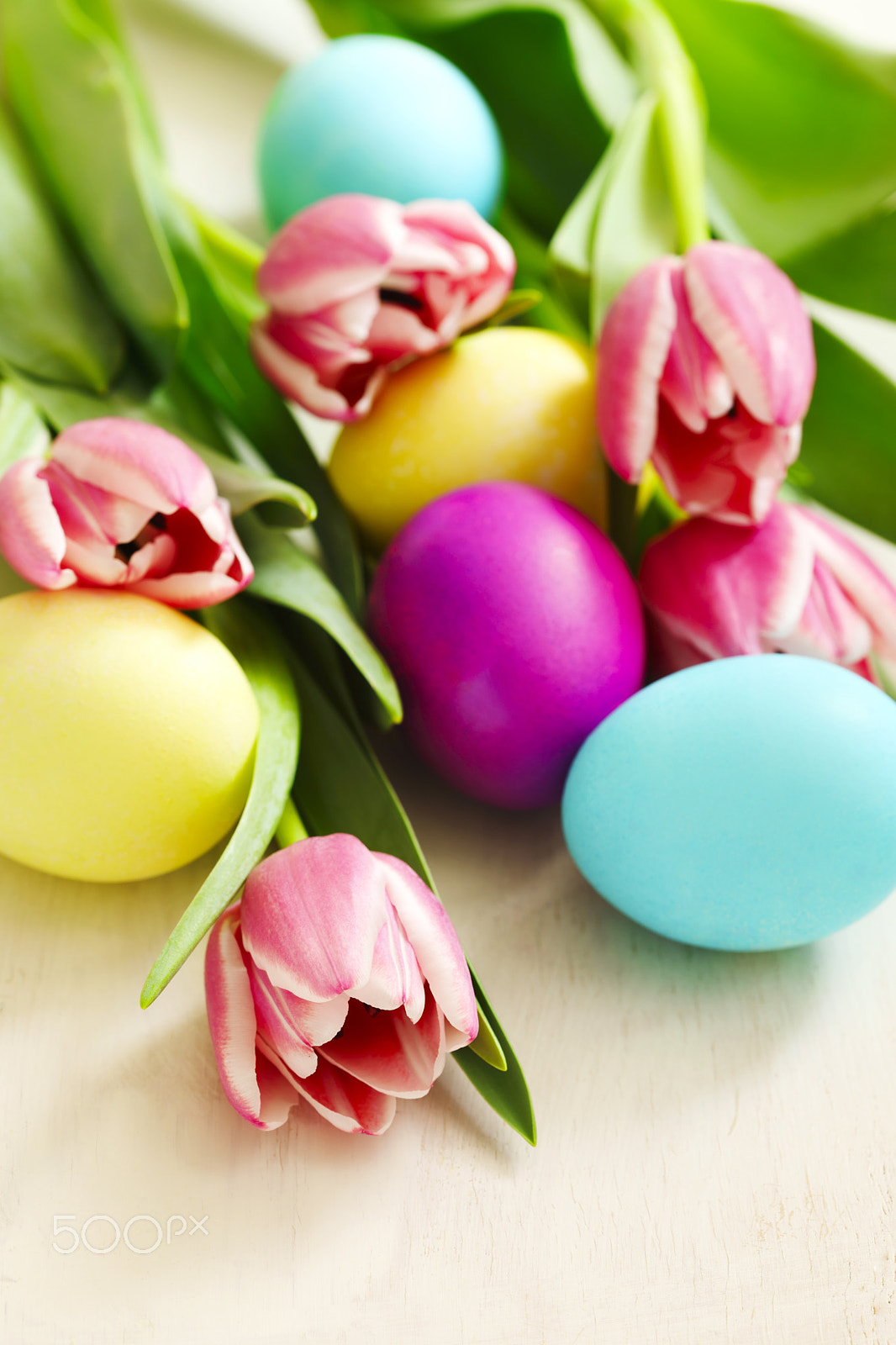 Canon EOS 5D Mark IV sample photo. Easter eggs and fresh tulips photography