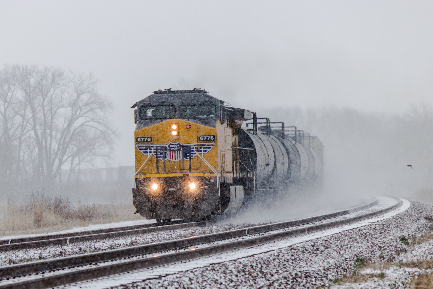 Canon EOS 750D (EOS Rebel T6i / EOS Kiss X8i) sample photo. Mid-march snow photography