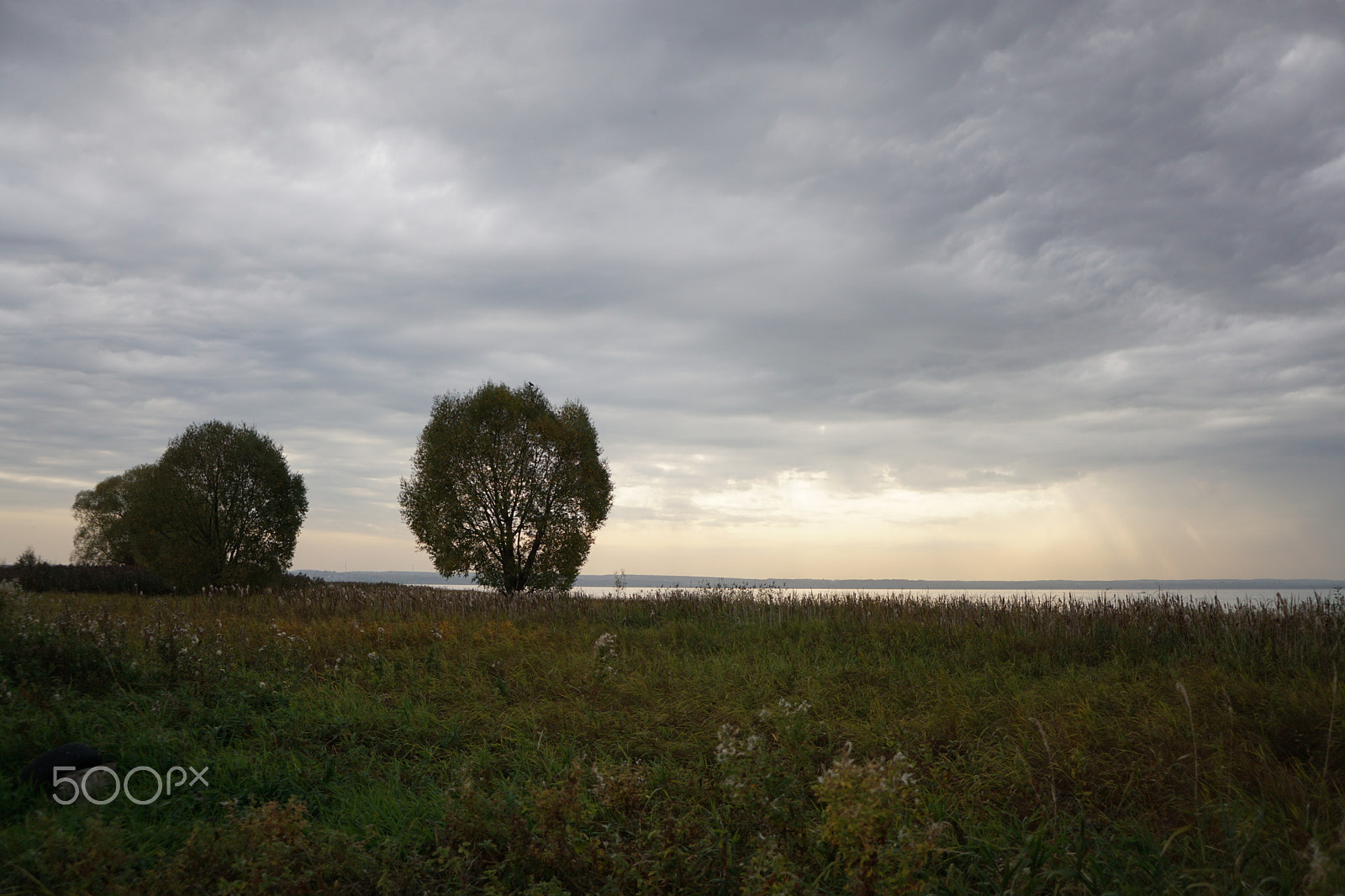 Sony E 20mm F2.8 sample photo. Dsc photography