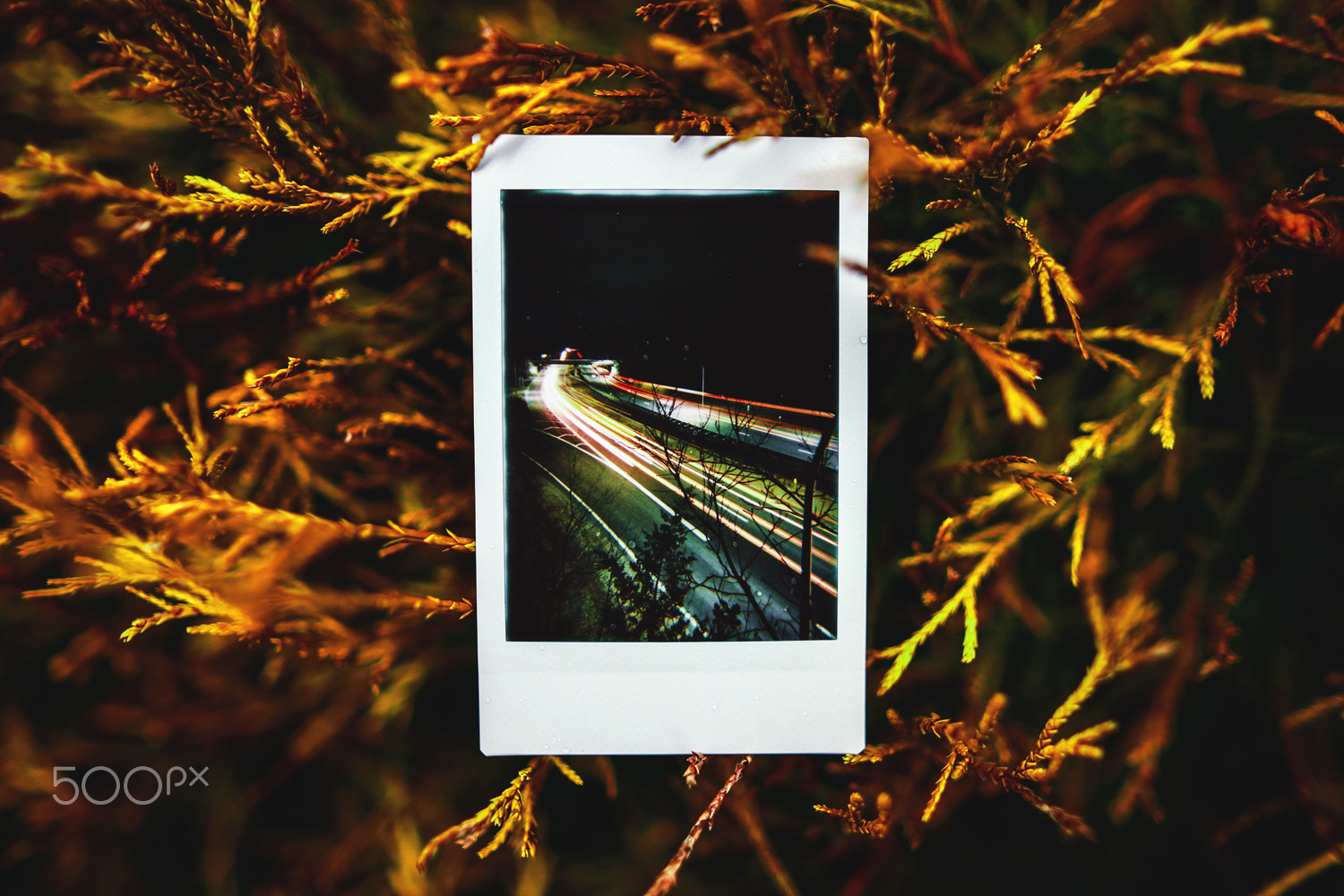 Canon EOS 6D sample photo. Light trails via polaroid photography