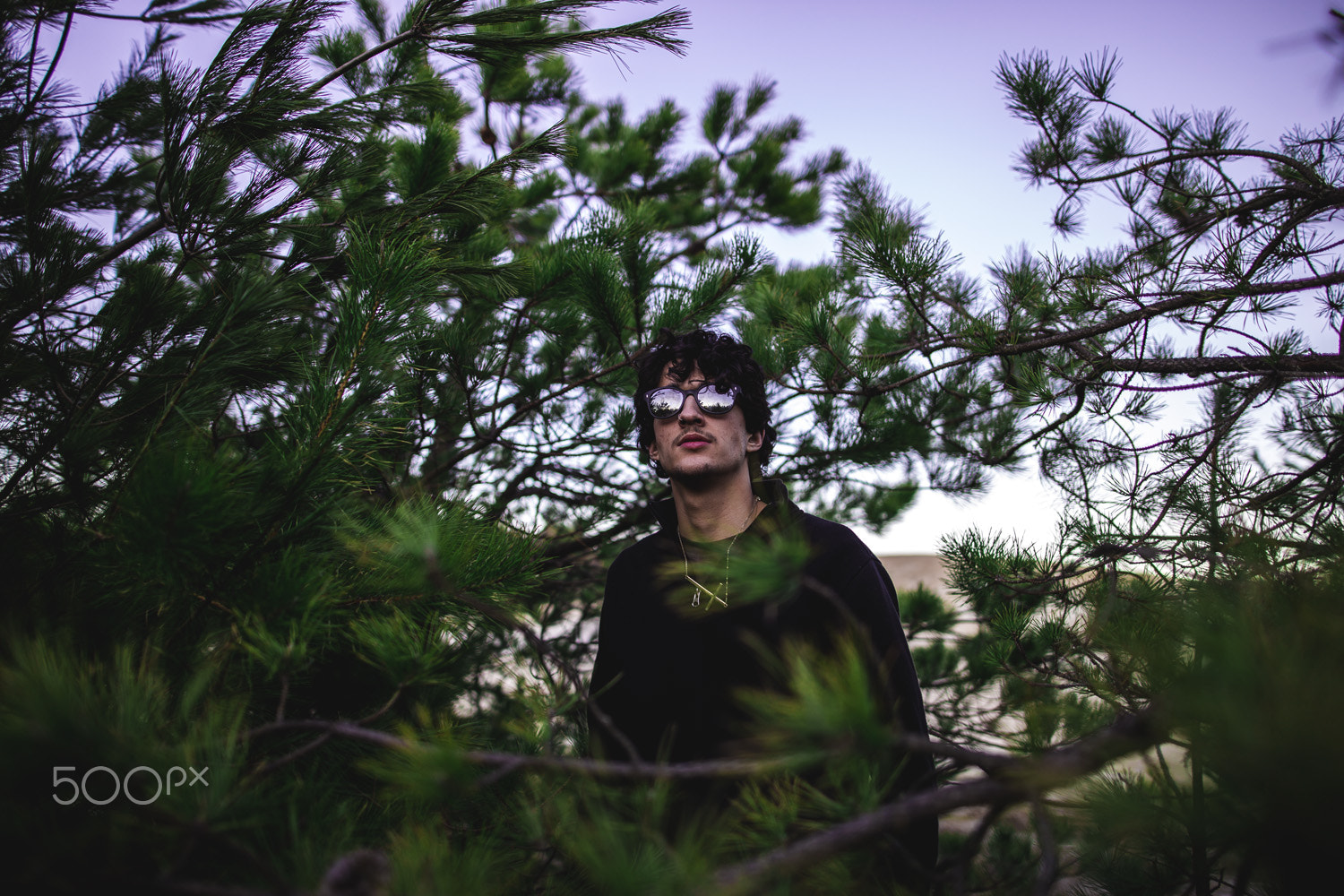 Sigma 24mm F1.4 DG HSM Art sample photo. It was heaven at the bottom & peace from throwin' up. photography