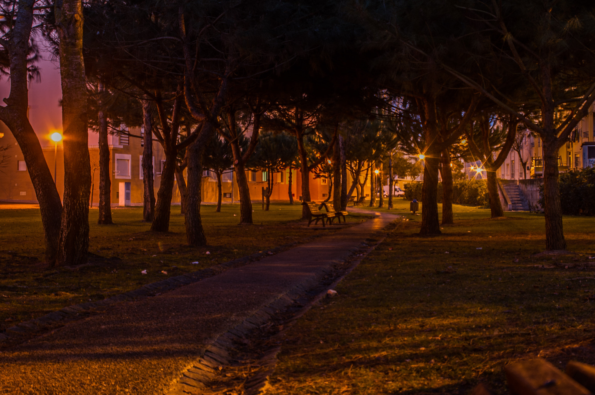 smc PENTAX-FA 28-80mm F3.5-5.6 sample photo. Night walk photography