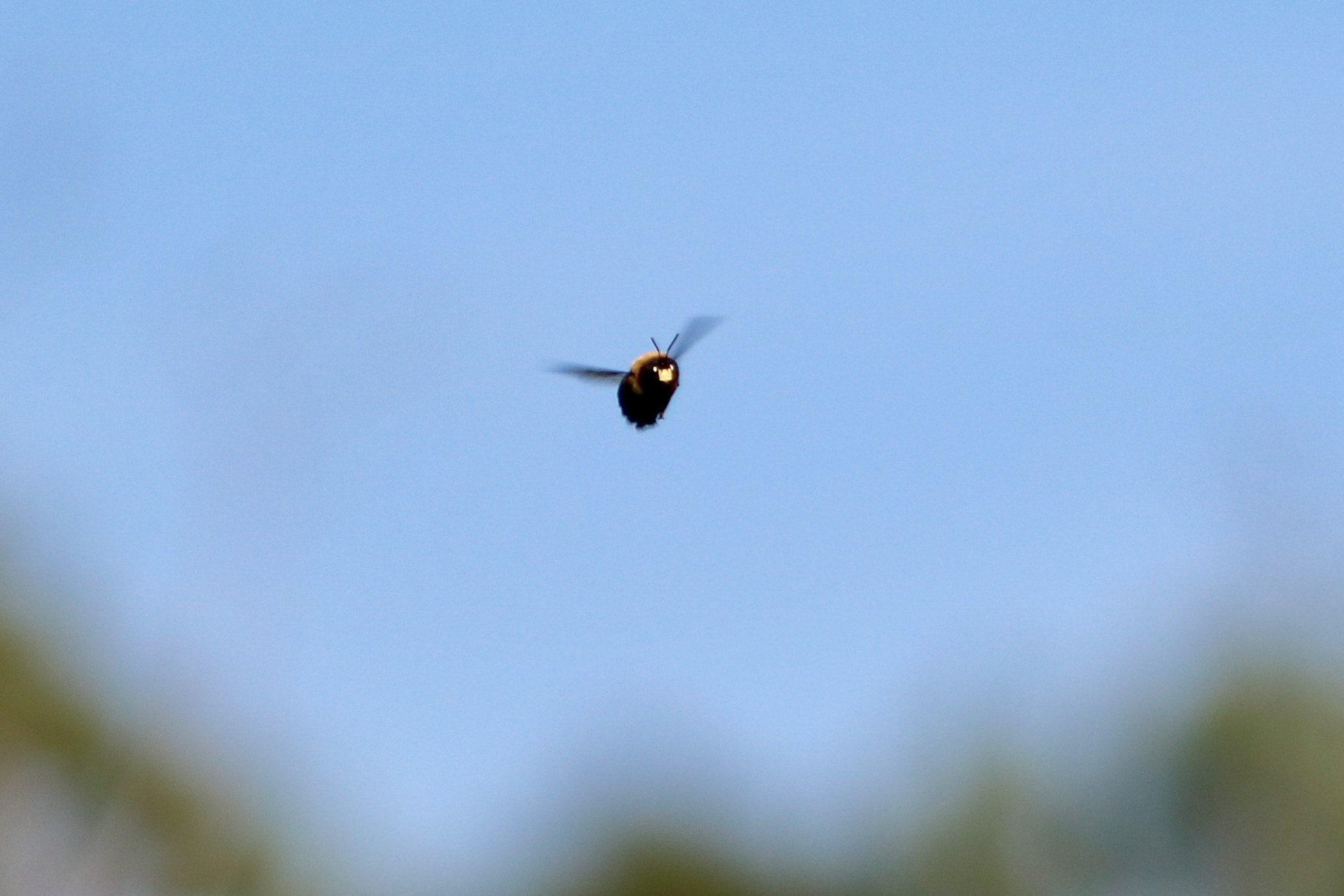 Canon EOS 760D (EOS Rebel T6s / EOS 8000D) sample photo. Watching you photography
