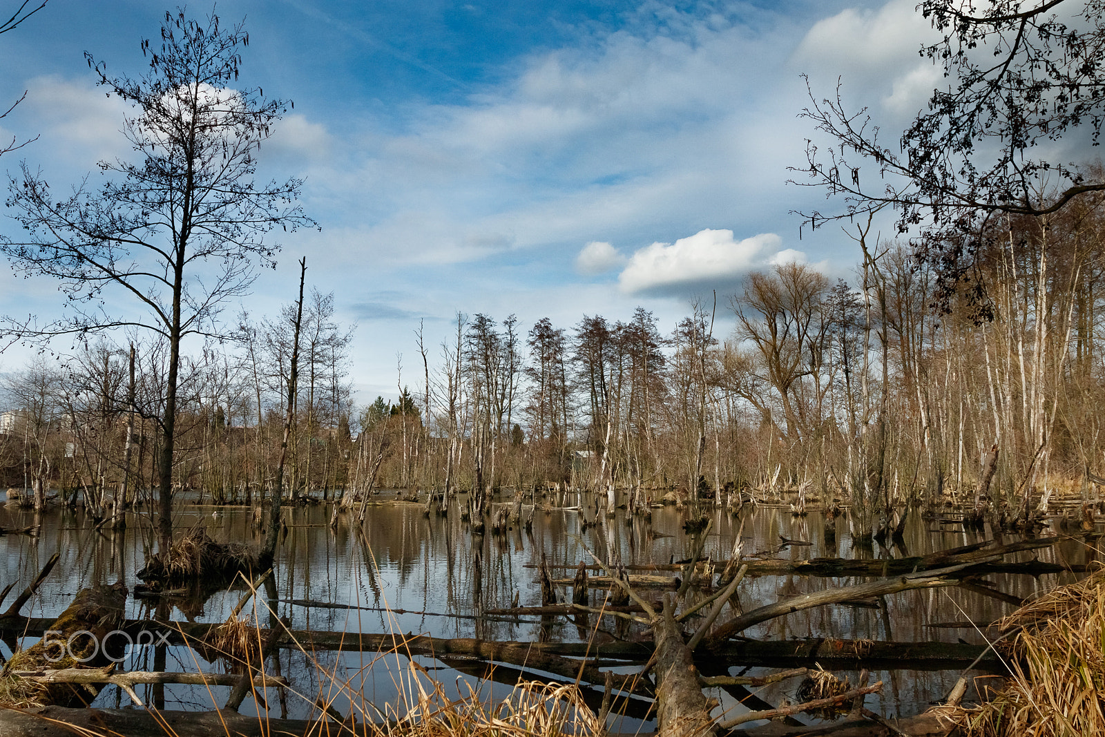 Canon EOS 80D + Canon EF 17-40mm F4L USM sample photo. Ptačí mokřady photography