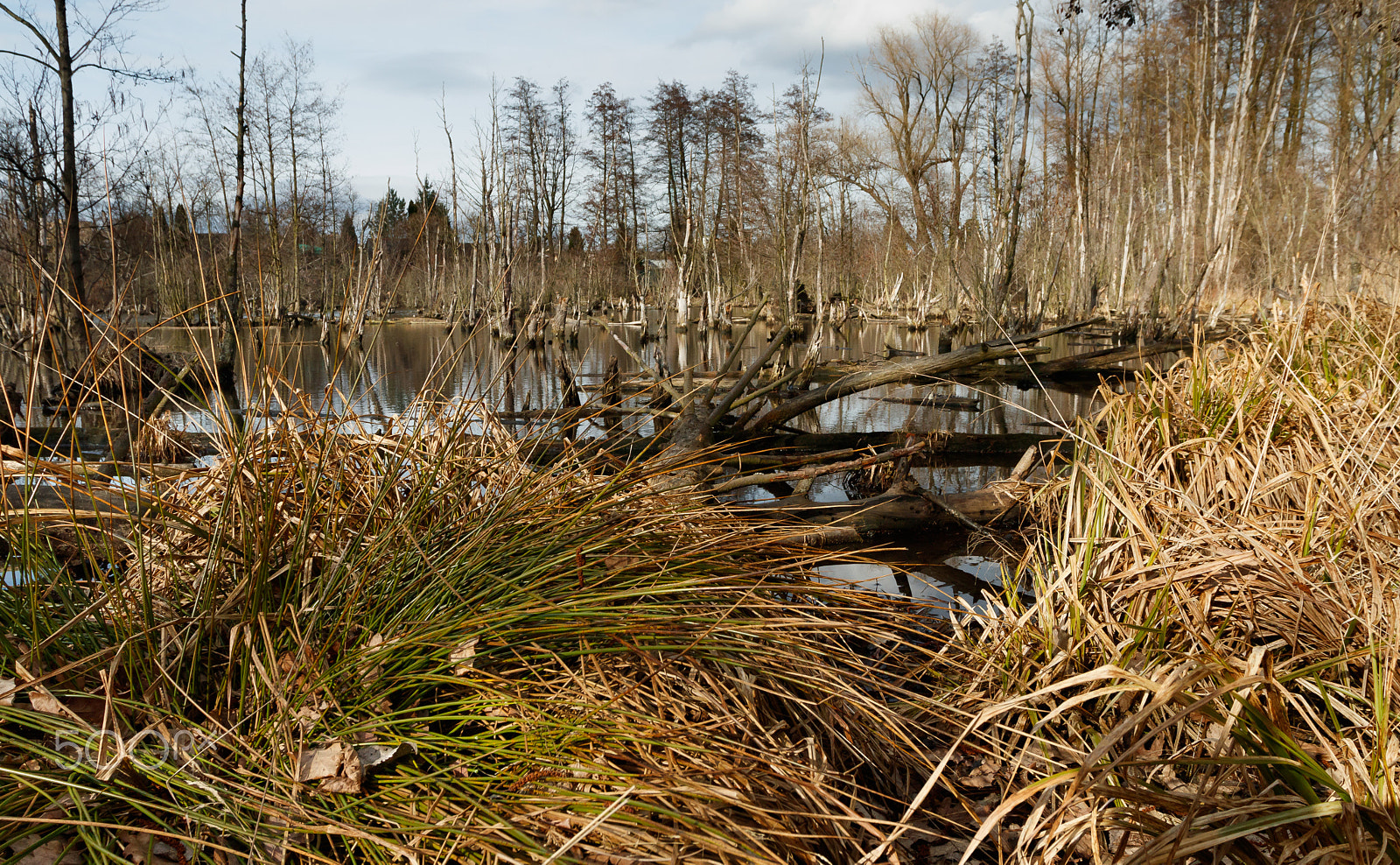 Canon EOS 80D + Canon EF 17-40mm F4L USM sample photo. Ptačí mokřady photography