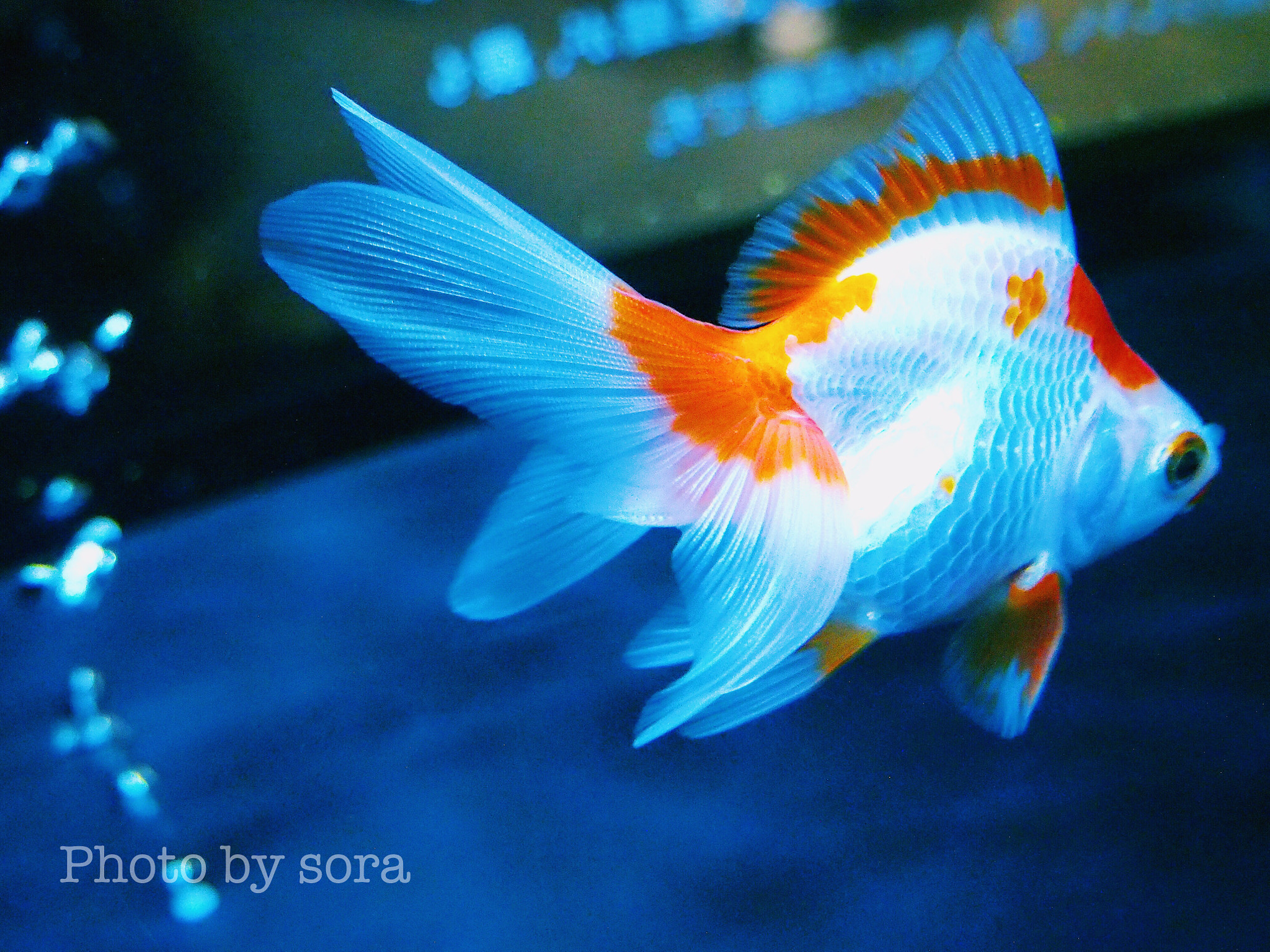 Olympus PEN E-PL5 sample photo