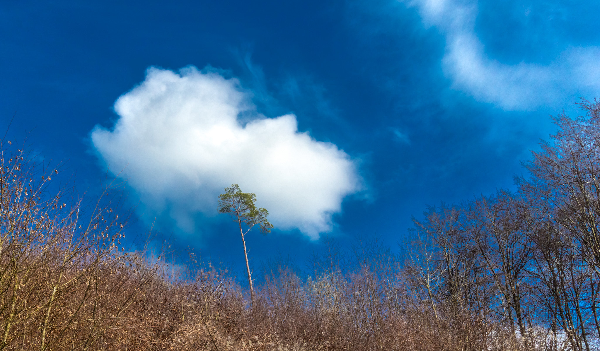Canon EF-M 22mm F2 STM sample photo. Springtime photography