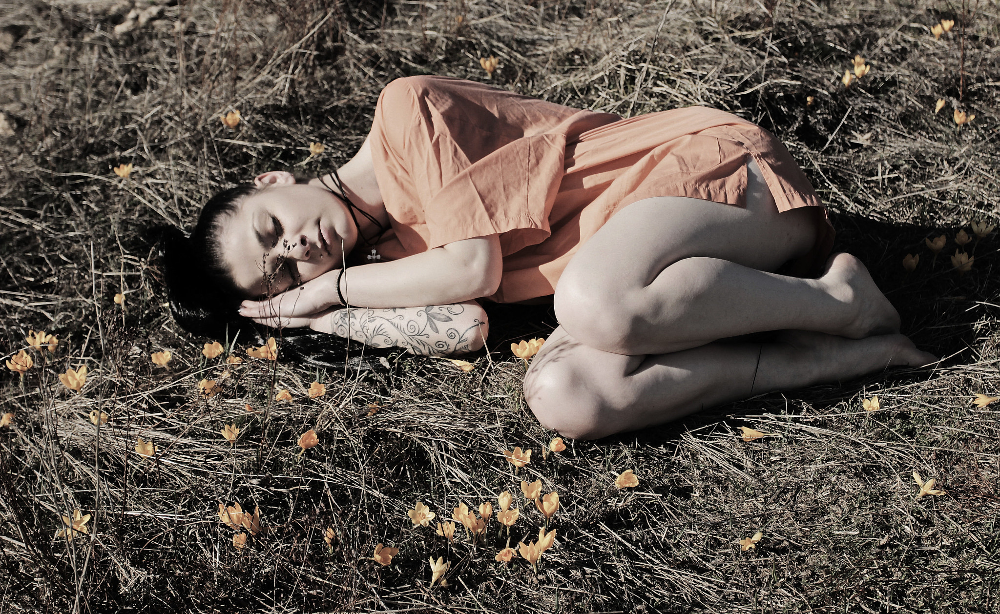 Canon EF 17-40mm F4L USM sample photo. Dreams of oranges photography