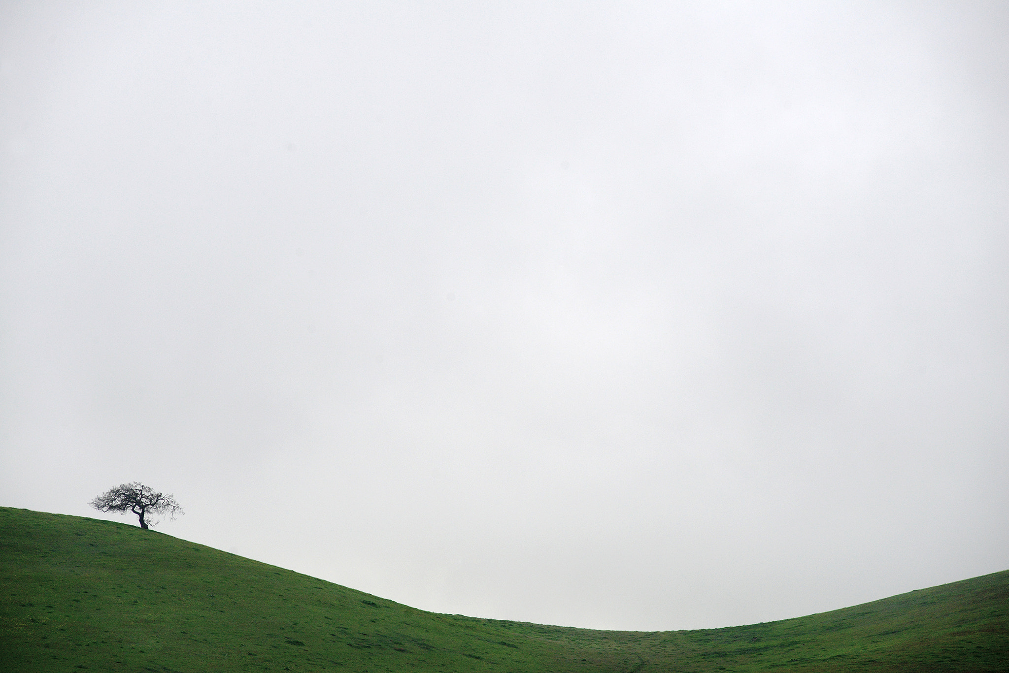 Nikon AF-Nikkor 80-200mm F2.8D ED sample photo. S curve hill photography