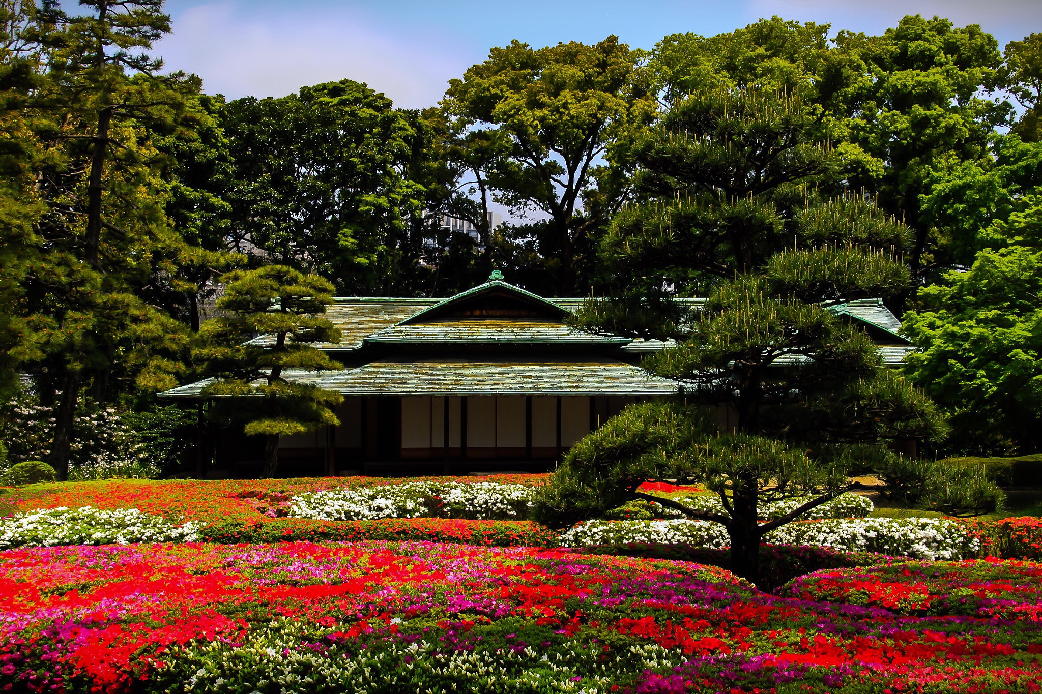 Canon EOS 50D sample photo. The imperial palace east gardens photography