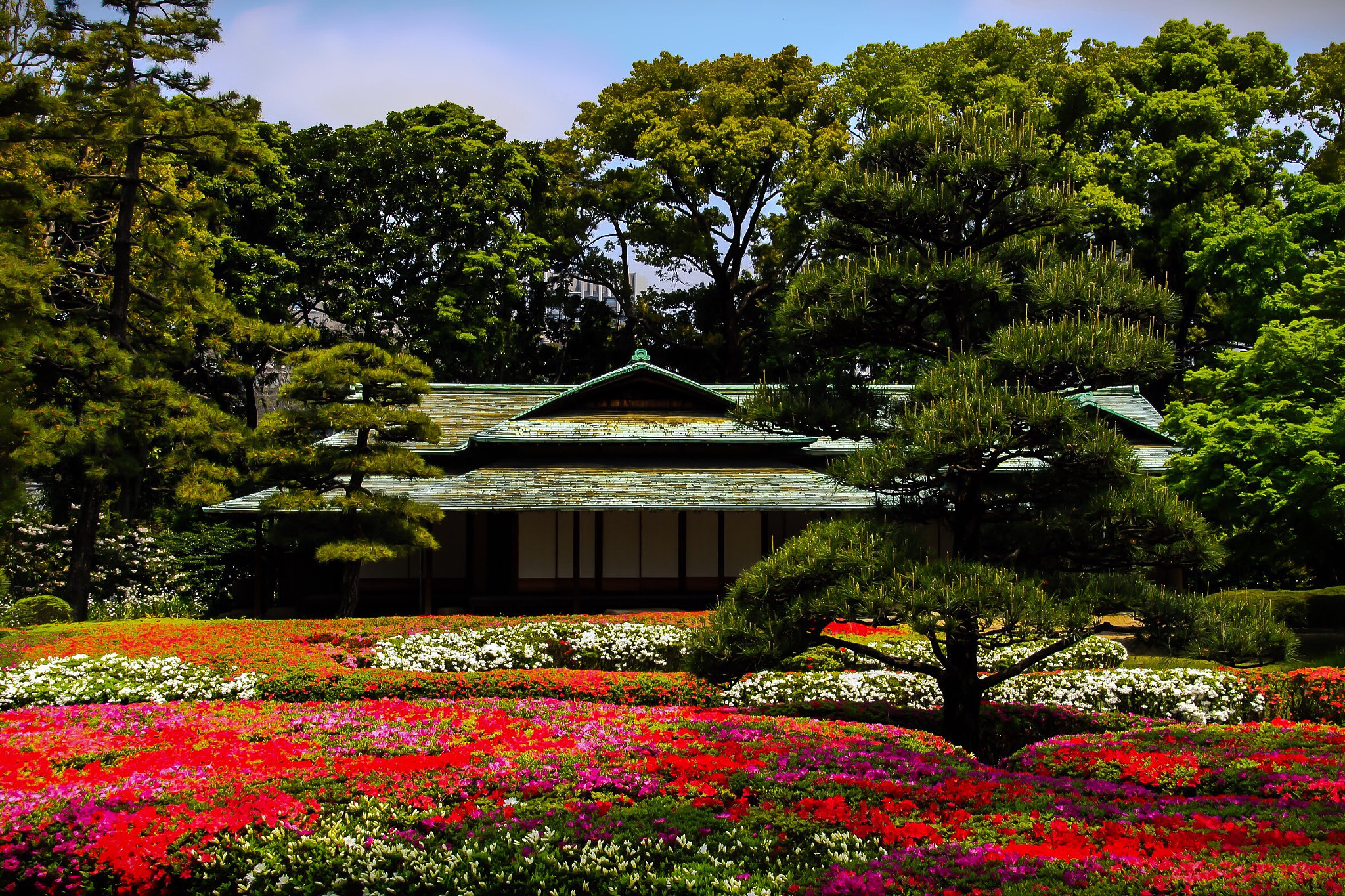 Canon EOS 50D + Sigma 18-200mm f/3.5-6.3 DC OS sample photo. The imperial palace east gardens photography