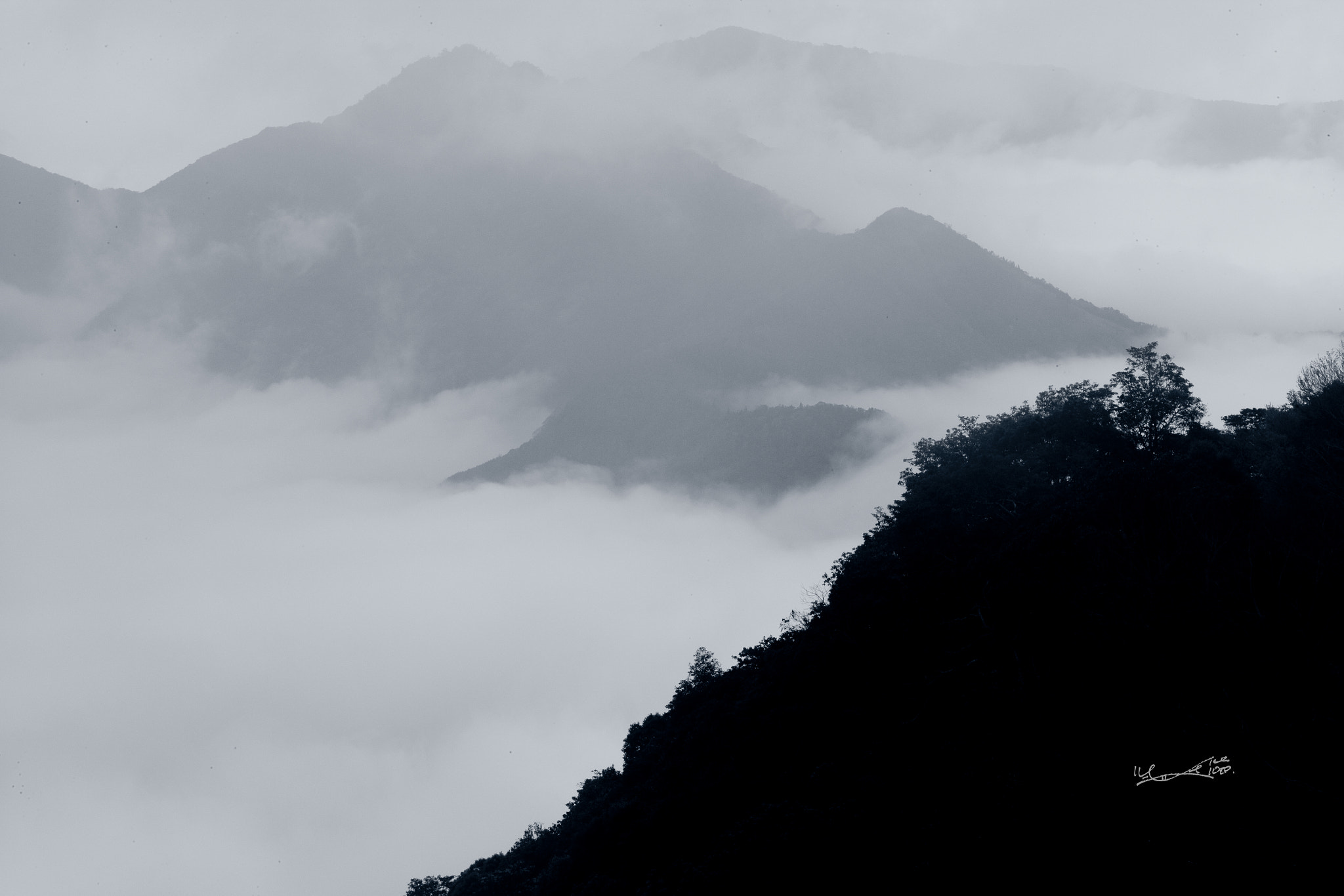 Elmarit-M 1:2.8/90 sample photo. 世外 photography