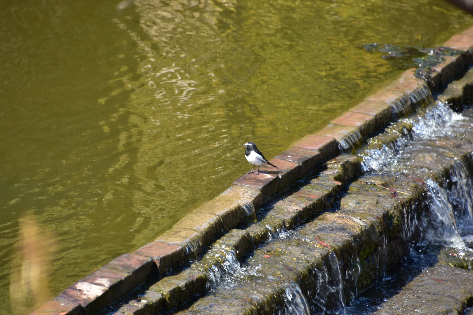 Nikon D7200 sample photo