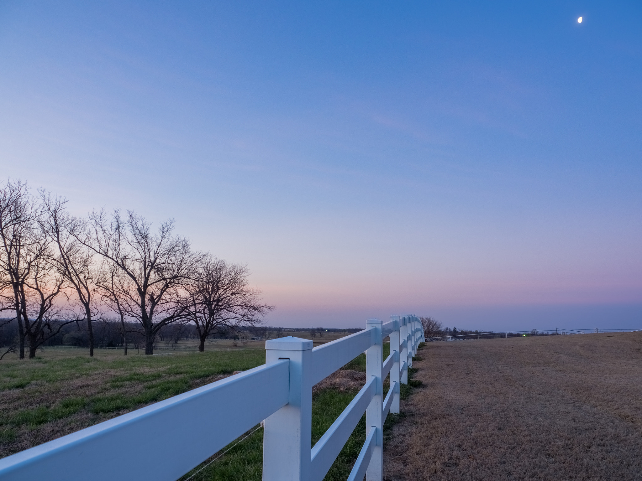 Olympus OM-D E-M10 sample photo. Slow living photography