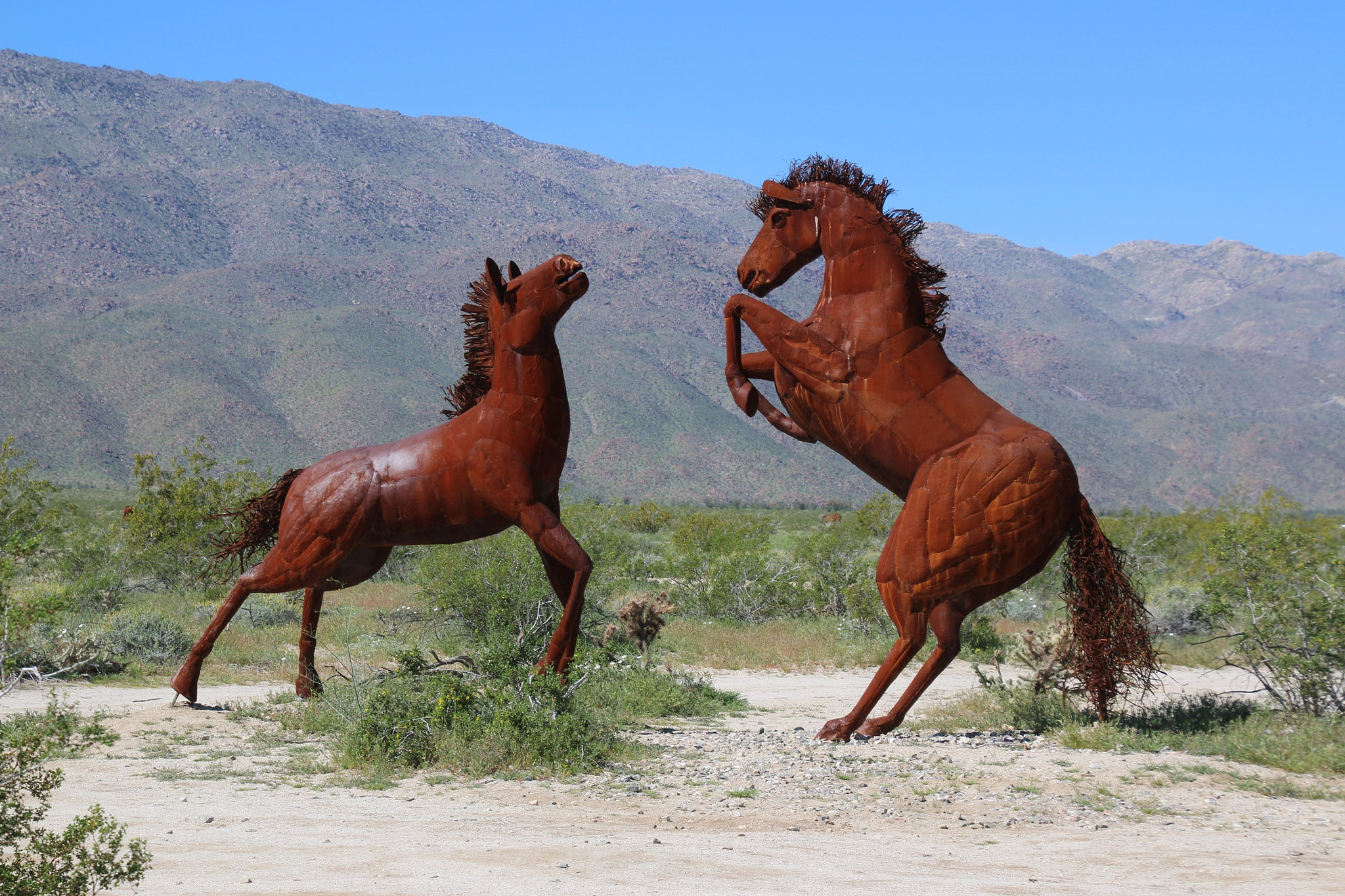 Canon EOS 70D sample photo. Series of statues/sculptures that can found throughout the local desert area photography