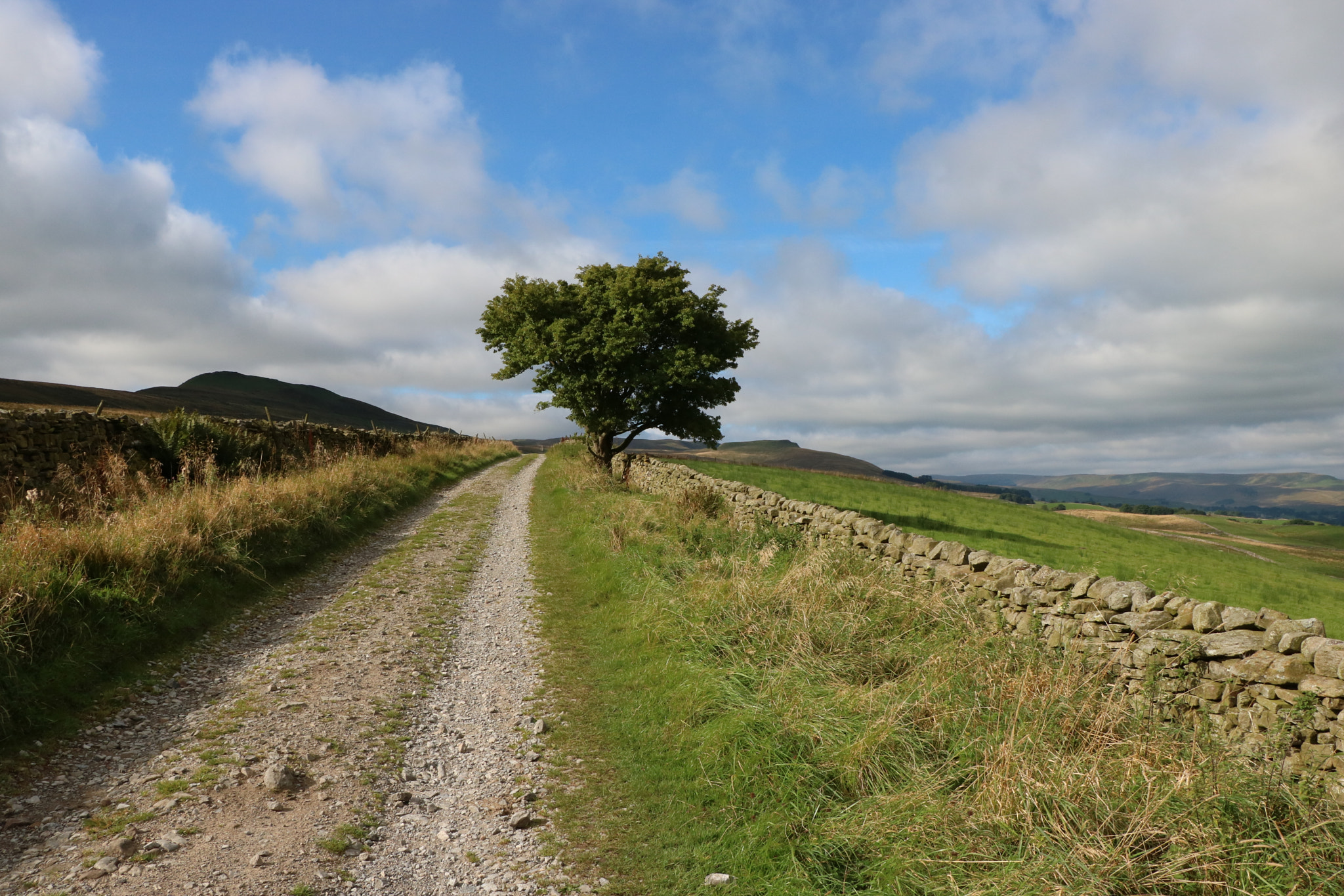 Canon EOS 760D (EOS Rebel T6s / EOS 8000D) sample photo. The roman road photography