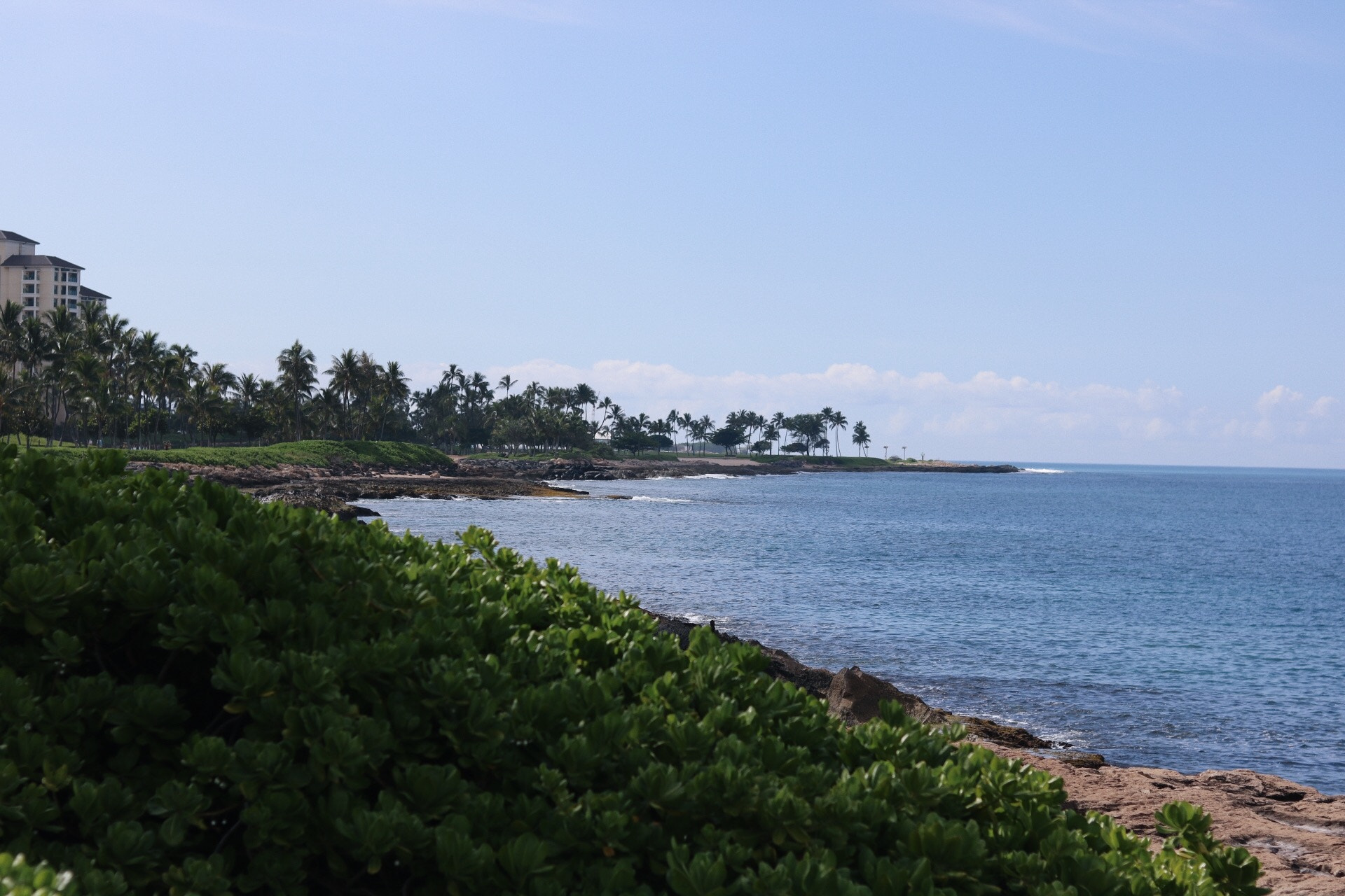 Canon EOS 750D (EOS Rebel T6i / EOS Kiss X8i) sample photo. Cliche picture everyone would take when they go to hawaii photography