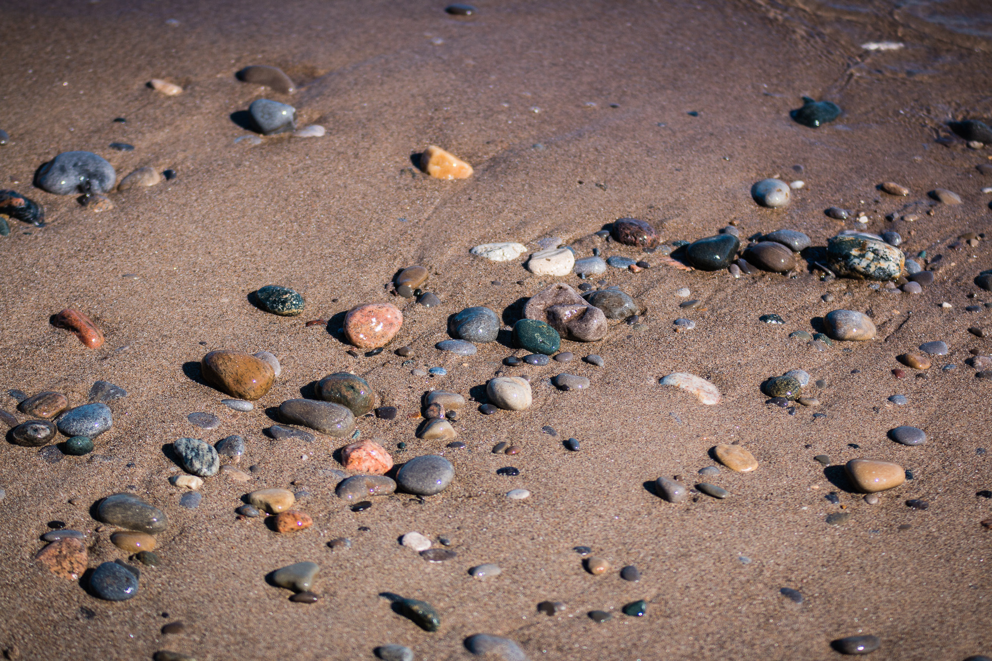 Sigma 70-200mm F2.8 EX DG OS HSM sample photo. Img photography