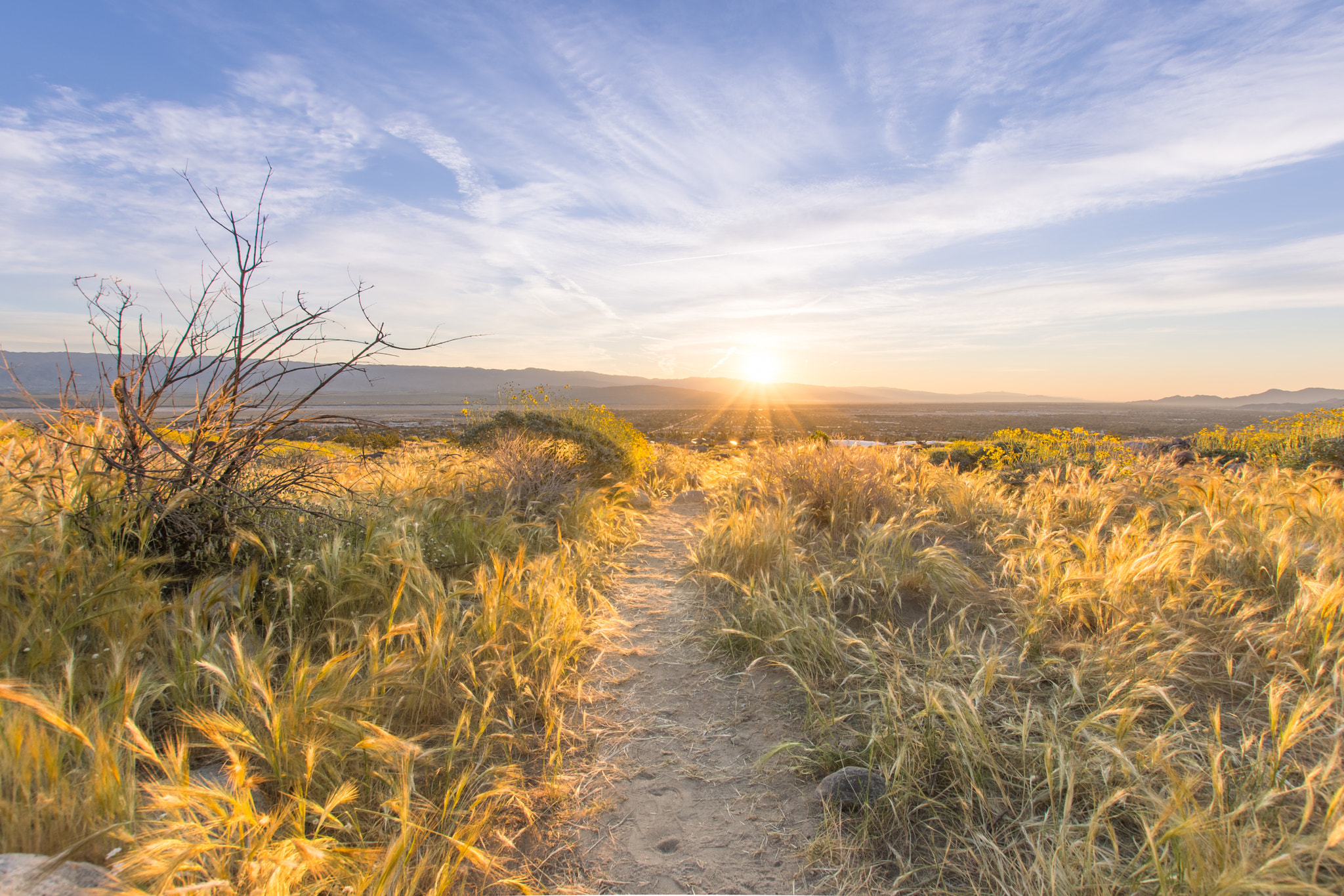 Nikon D7200 + Sigma 10-20mm F3.5 EX DC HSM sample photo. The golden hour photography