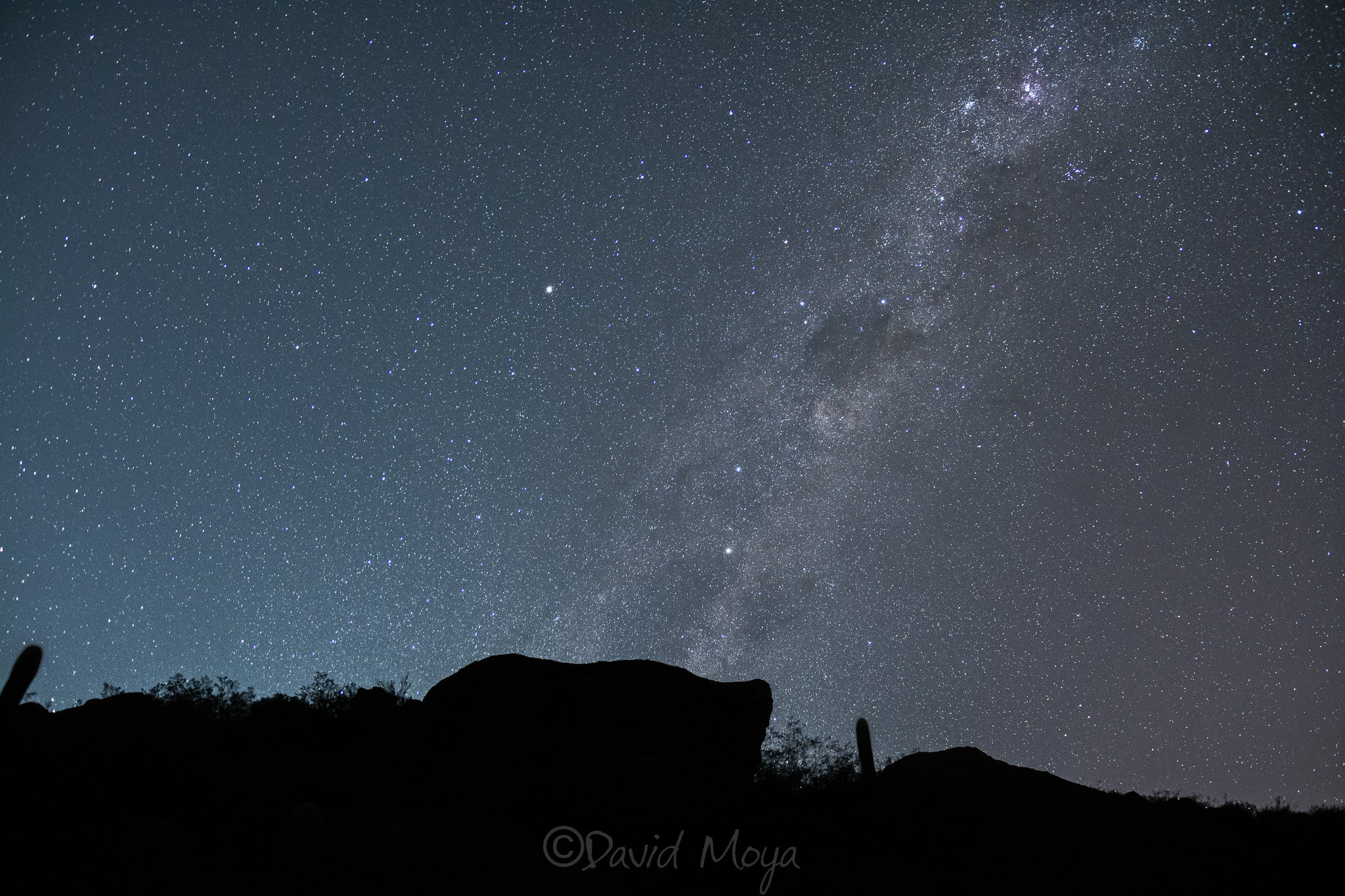 Nikon D7100 sample photo. Crux milky way photography