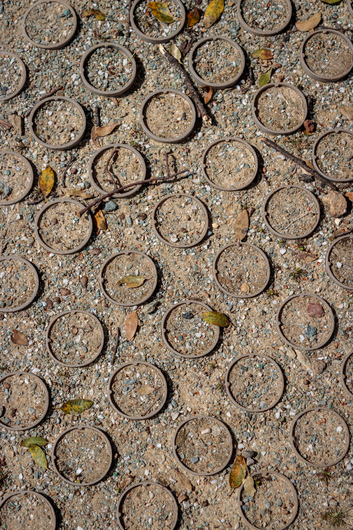 Canon EOS 760D (EOS Rebel T6s / EOS 8000D) + Canon EF 24-105mm F4L IS USM sample photo. Circles in the ground photography