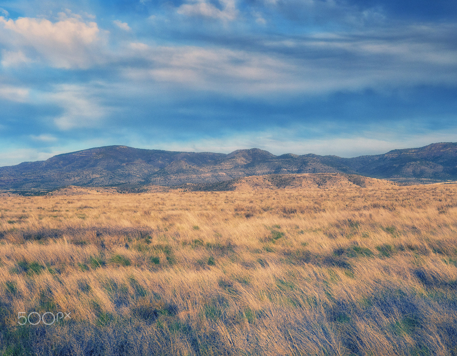 Olympus OM-D E-M5 sample photo. Open field and mountains photography