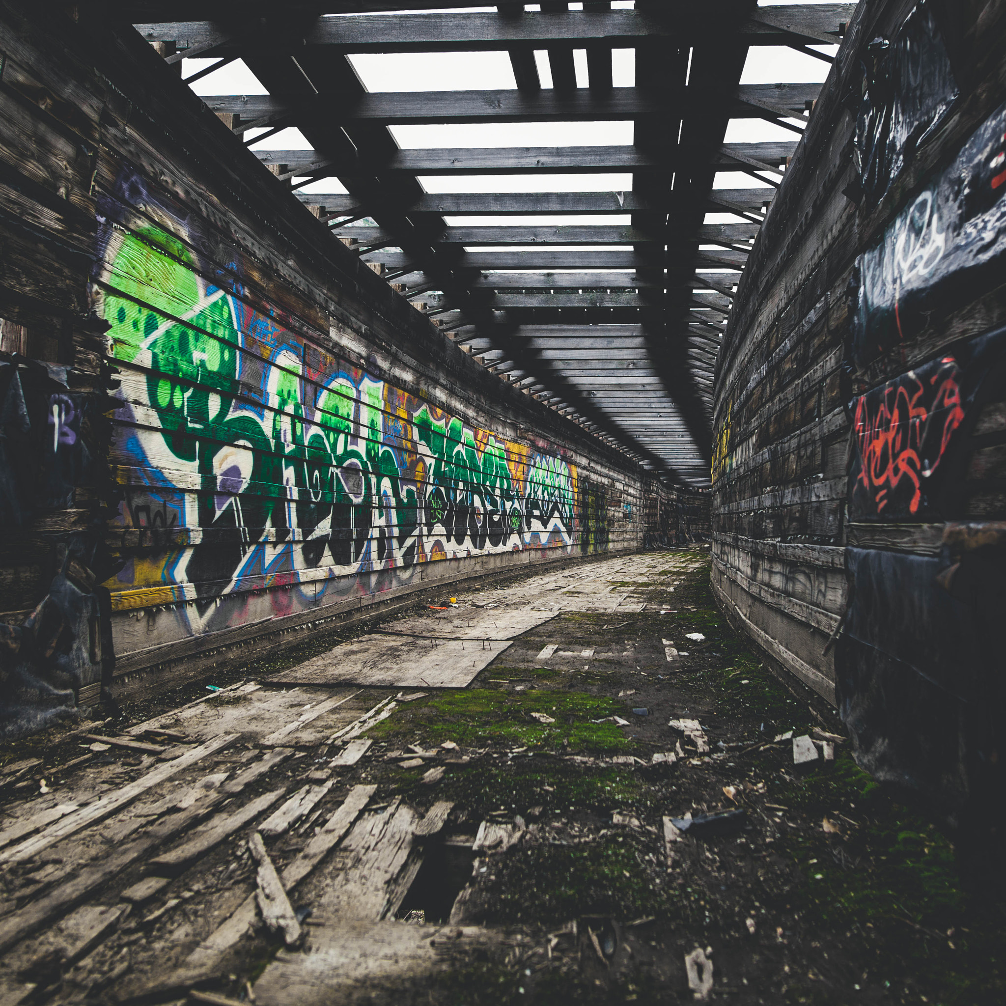 Sigma 24mm F1.4 DG HSM Art sample photo. Tunnel vision photography