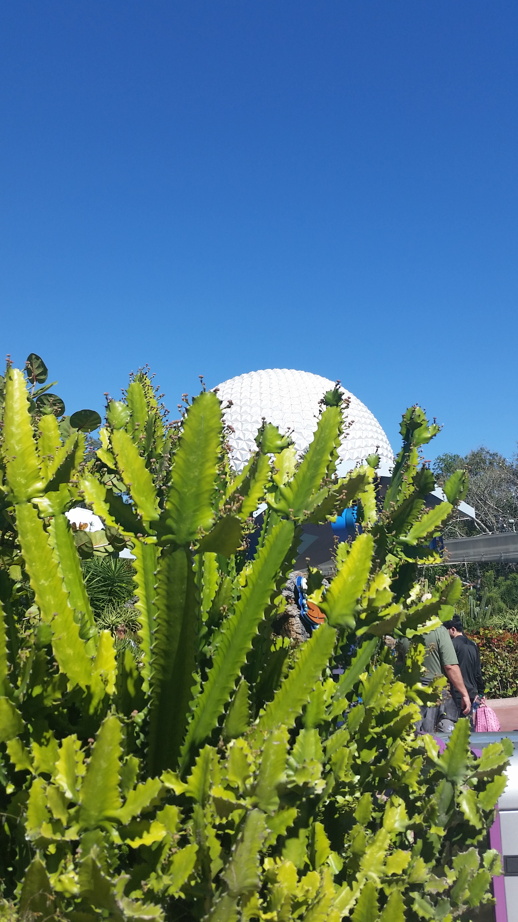 Samsung Galaxy S5 Active sample photo. Epcot photography