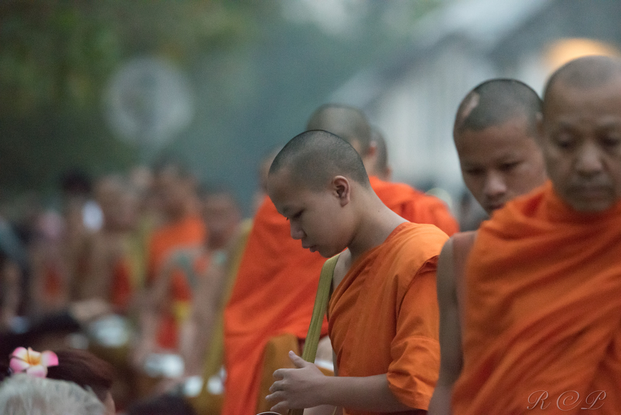 Nikon D750 + Sigma 50mm F2.8 EX DG Macro sample photo. Monk in luang prabang photography