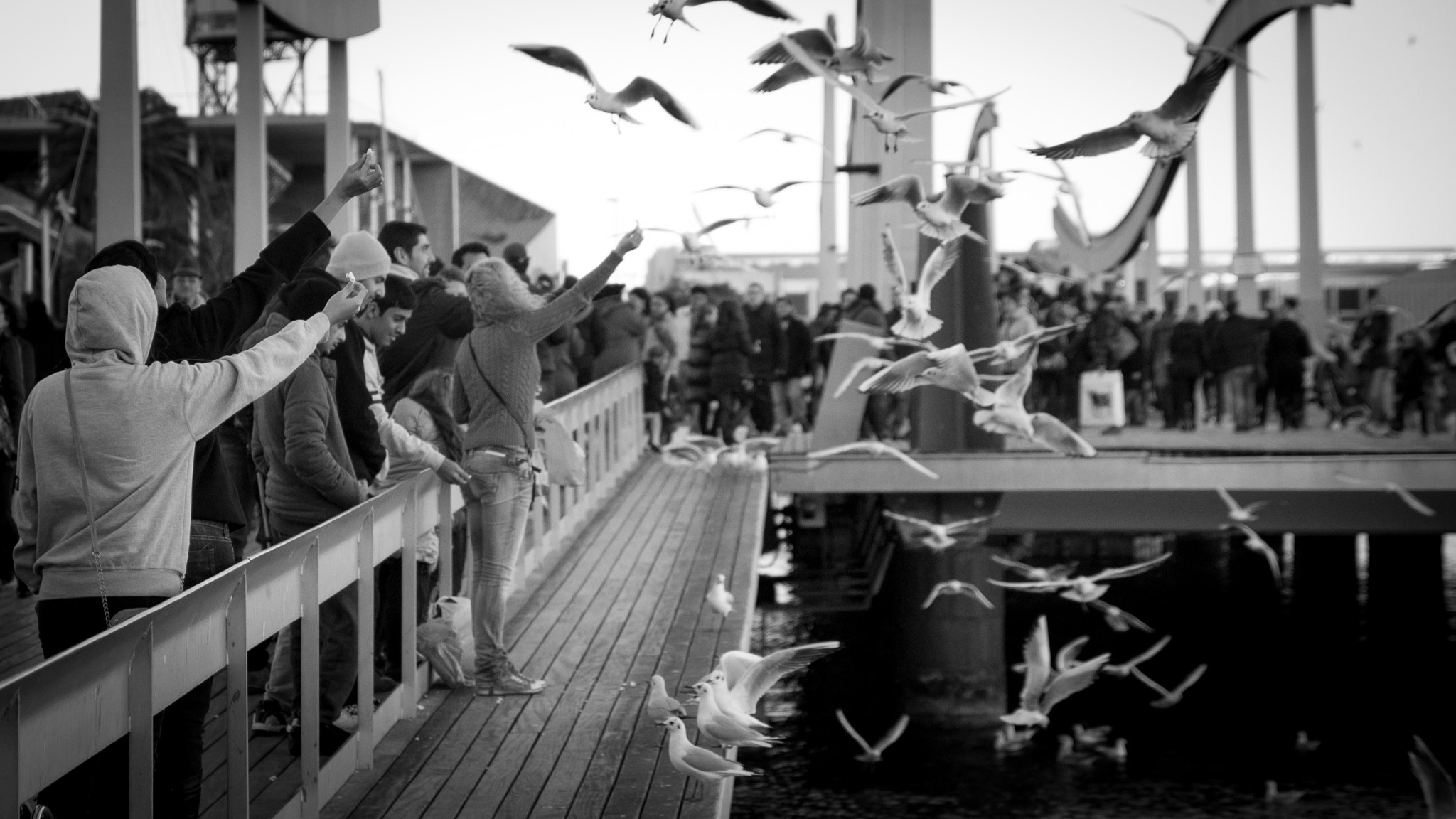 Canon EF-S 17-55mm F2.8 IS USM sample photo. Barceloneta  photography