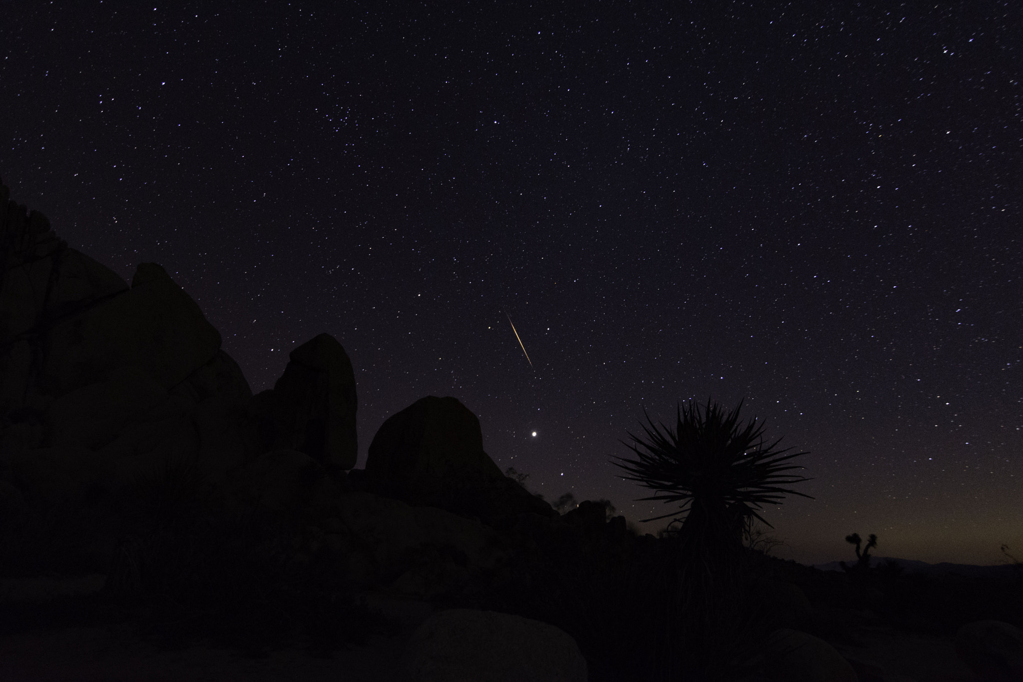 Nikon D7200 sample photo. Jupiter photography