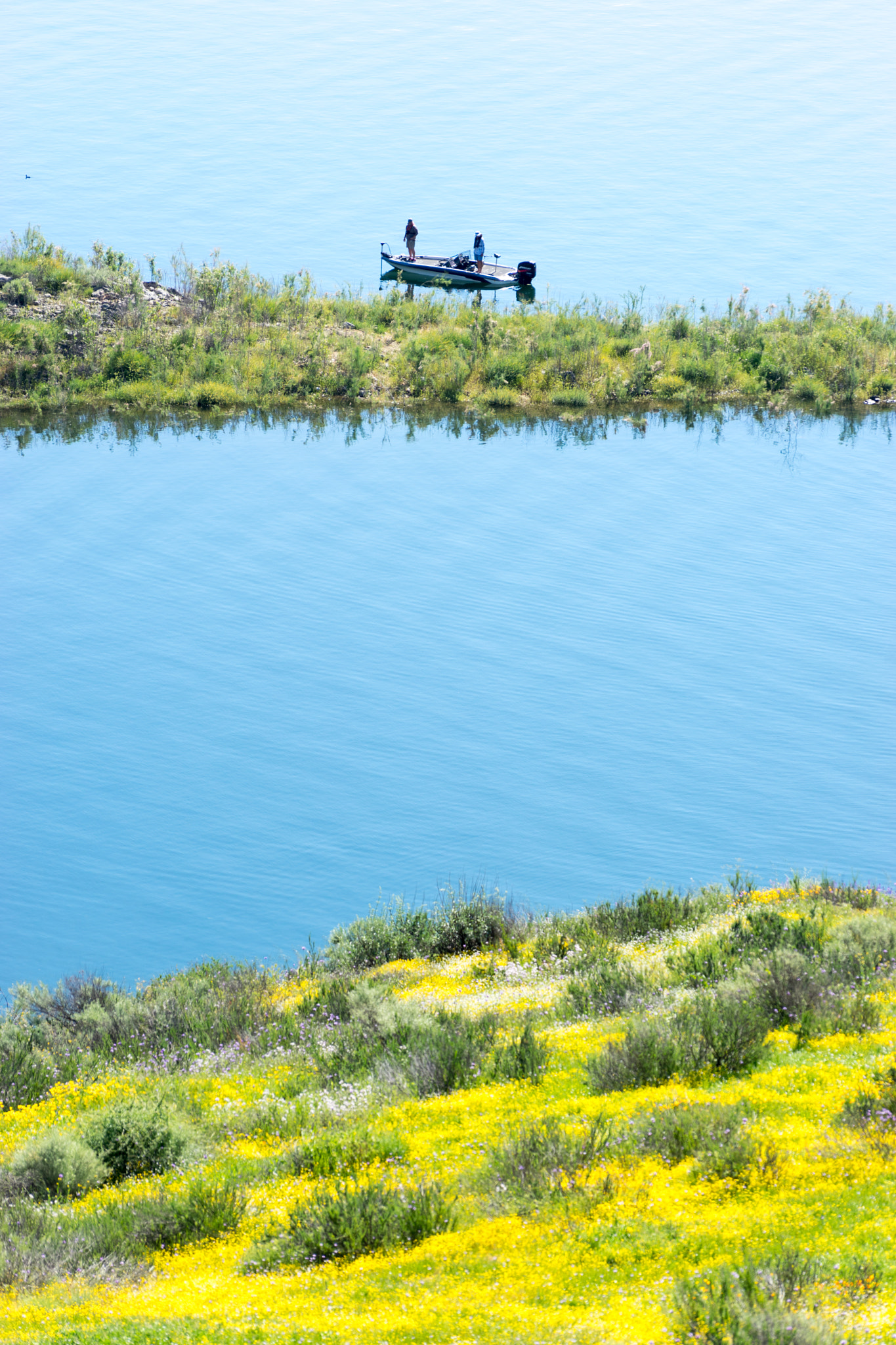 Sony a7 + Sony FE 70-200mm F4 G OSS sample photo. Fishing near the bloom photography