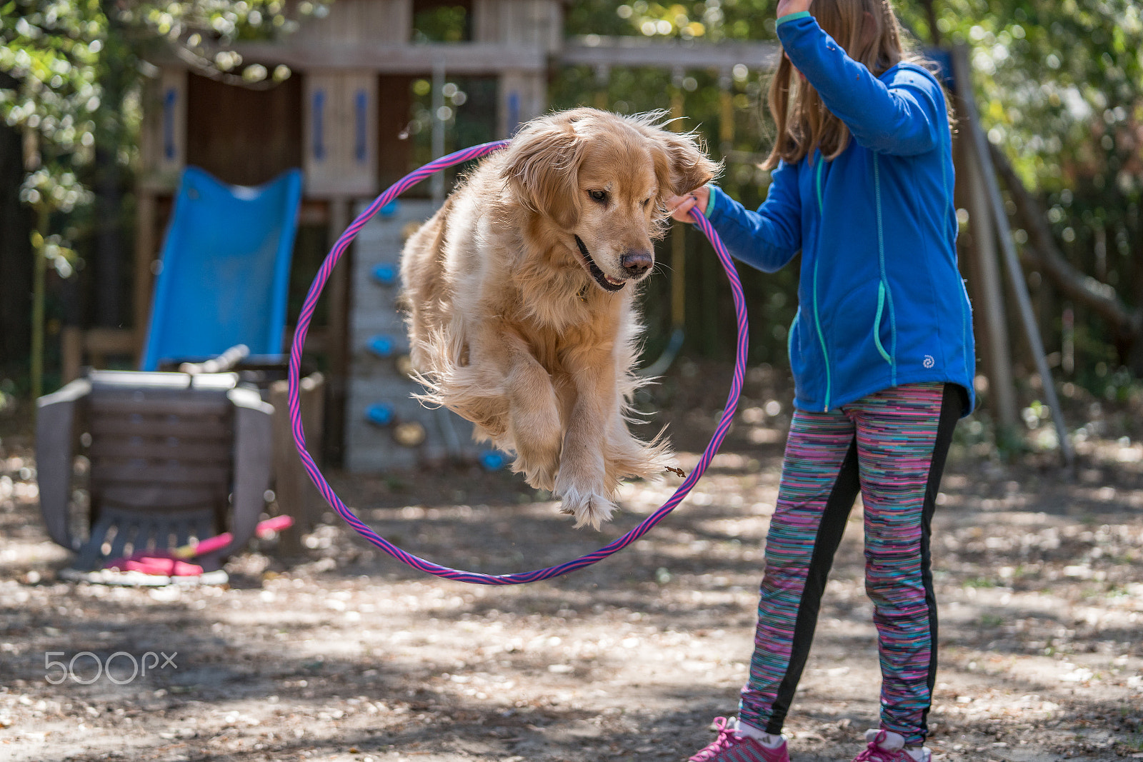 Sony a7R II + Sony FE 70-200mm F2.8 GM OSS sample photo. Boomer training photography