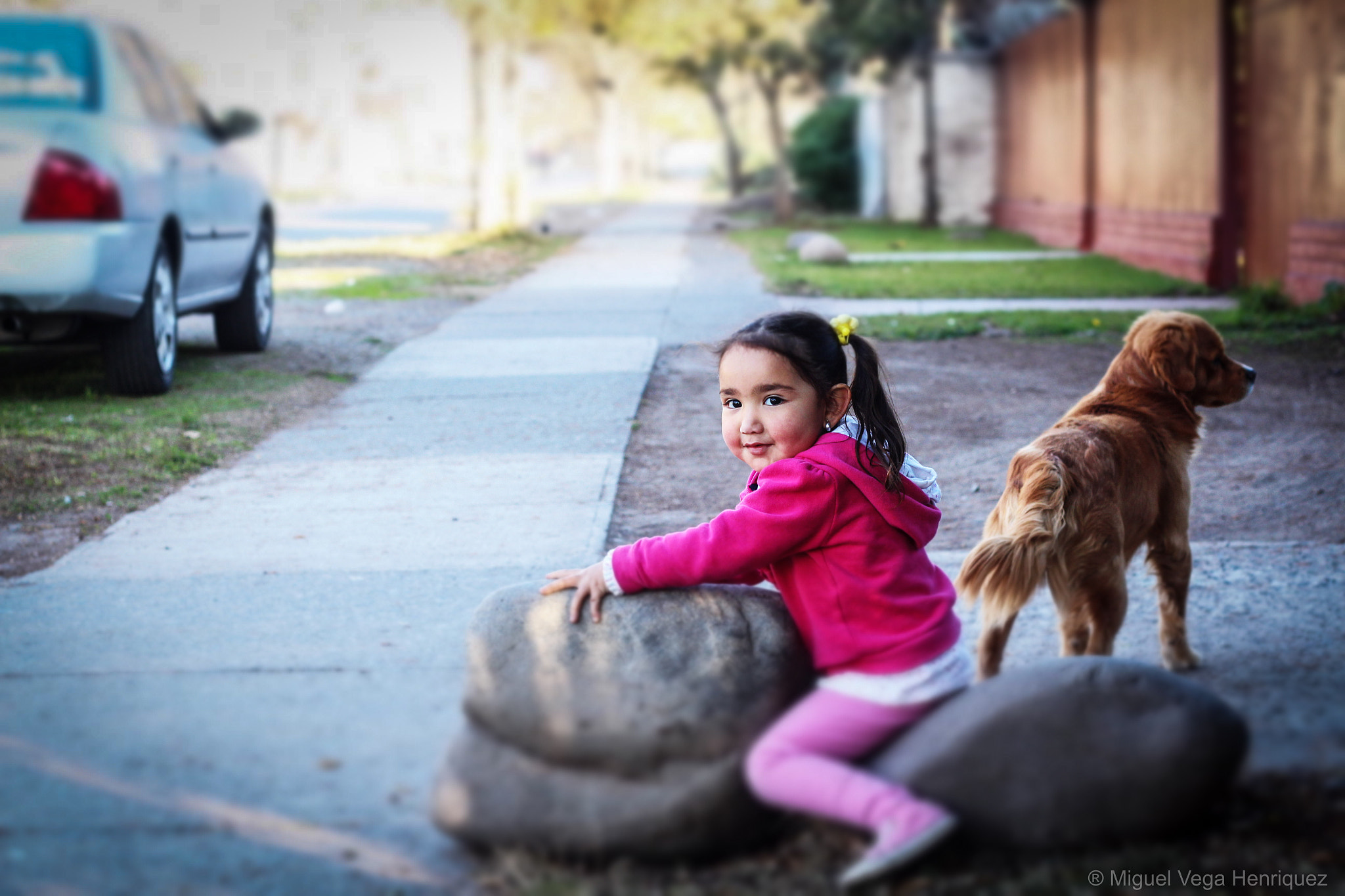 Canon EF 50mm F1.8 II sample photo. Cebe o photography