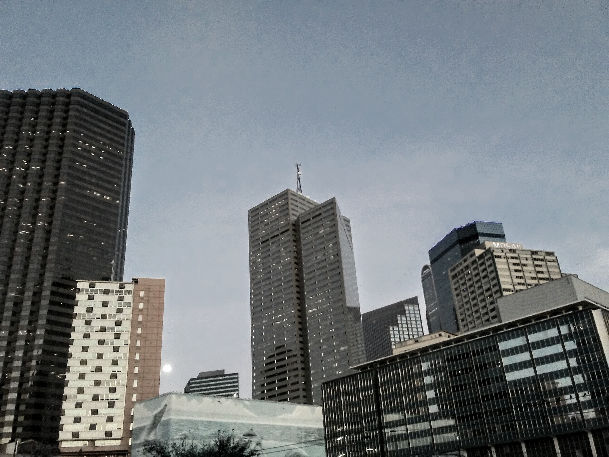 LG K7 sample photo. The overcast photography