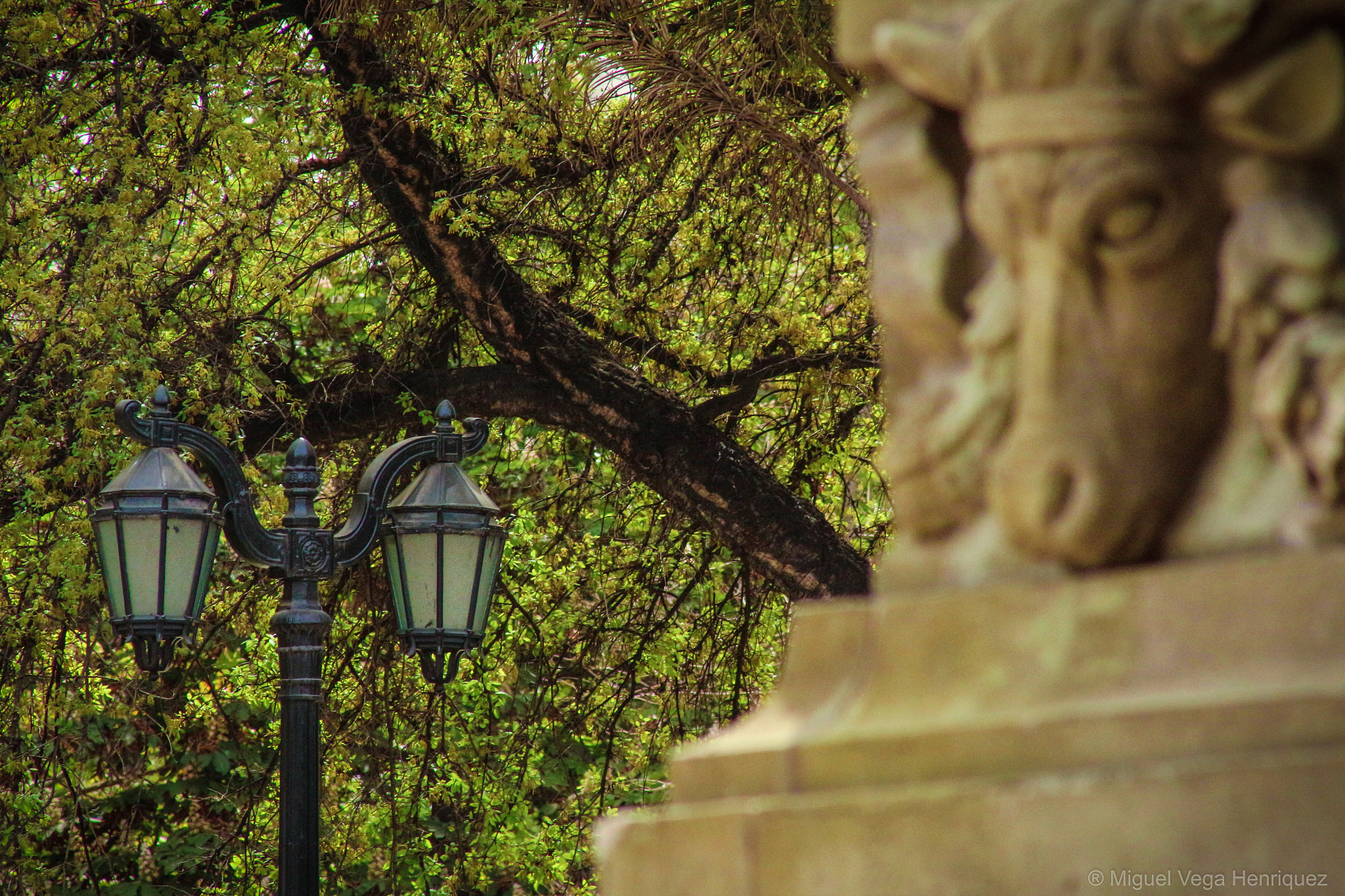 Canon EF 75-300mm f/4-5.6 USM sample photo. Bcbbo photography