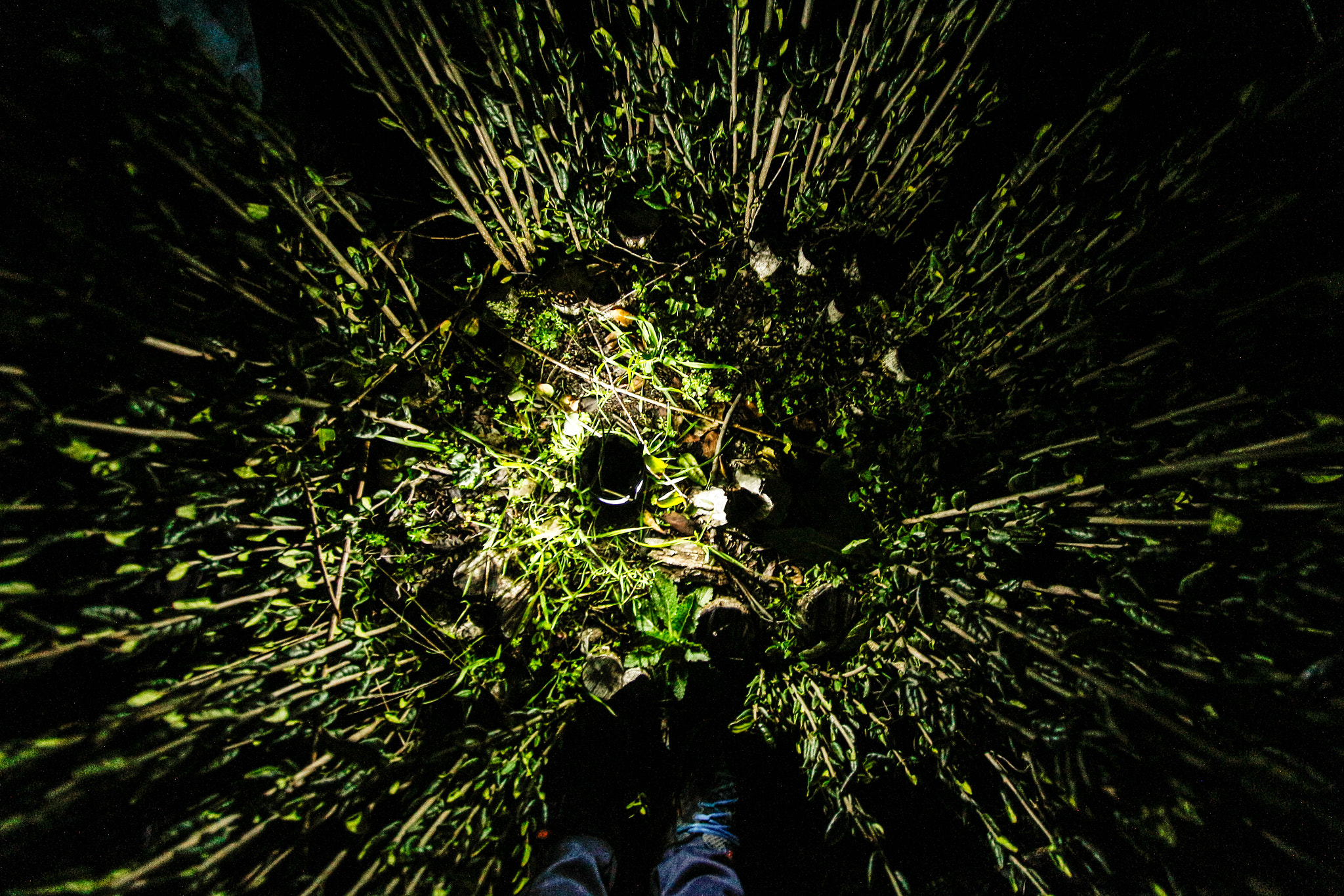 Canon EF-S 10-22mm F3.5-4.5 USM sample photo. Linares - sur de chile photography