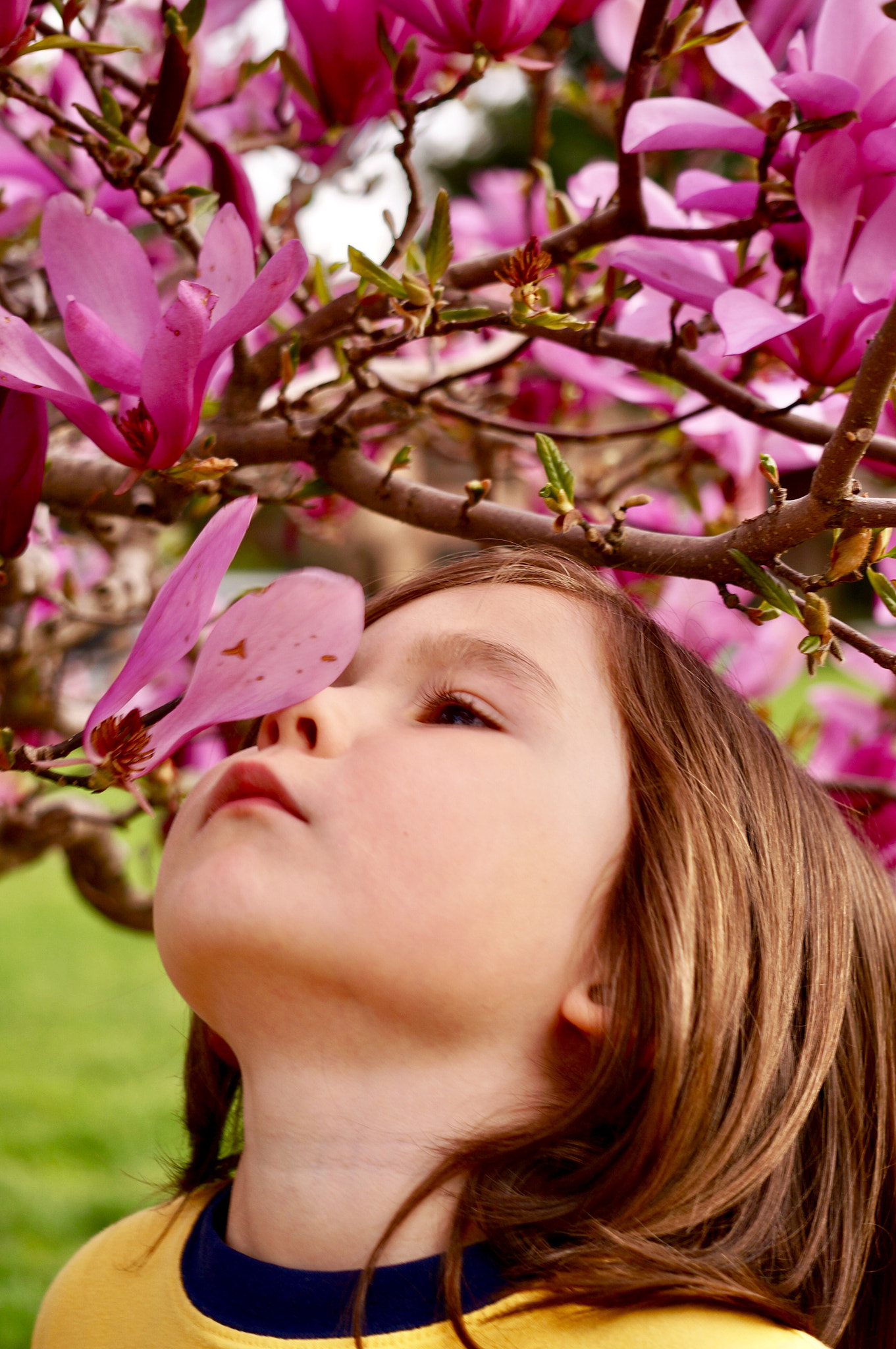 Sony Alpha NEX-6 sample photo. Spring. photography