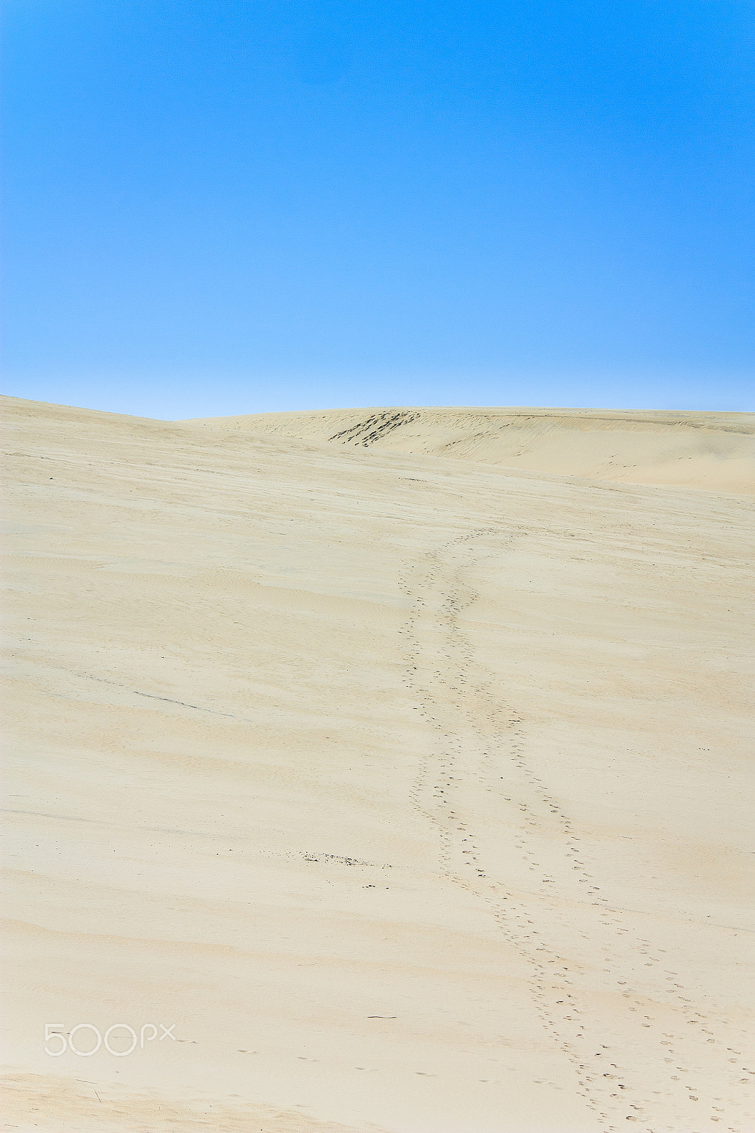 Canon EF-S 55-250mm F4-5.6 IS sample photo. Climb the dune photography