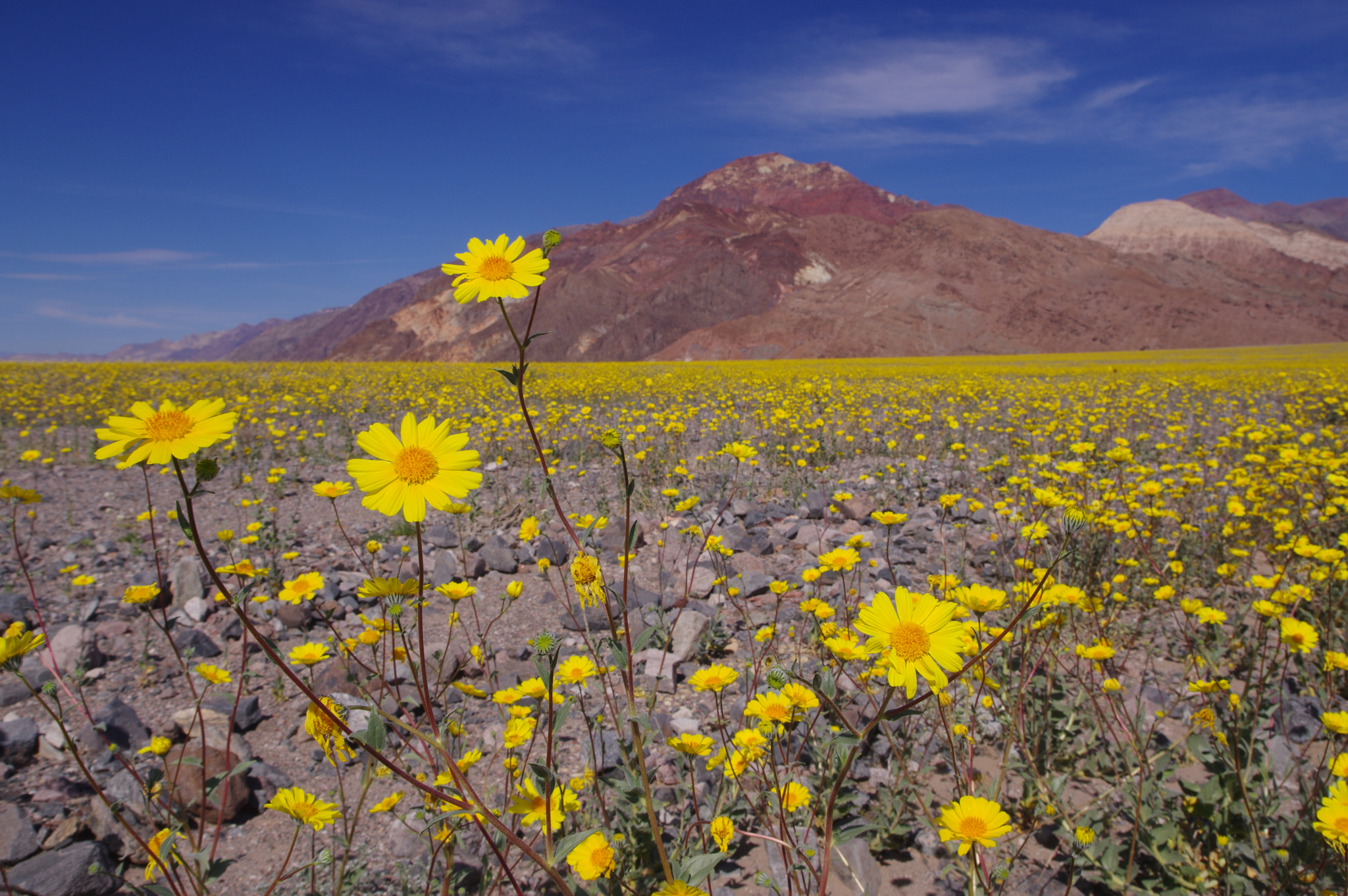 Pentax K-3 sample photo. Death valley 2016 photography