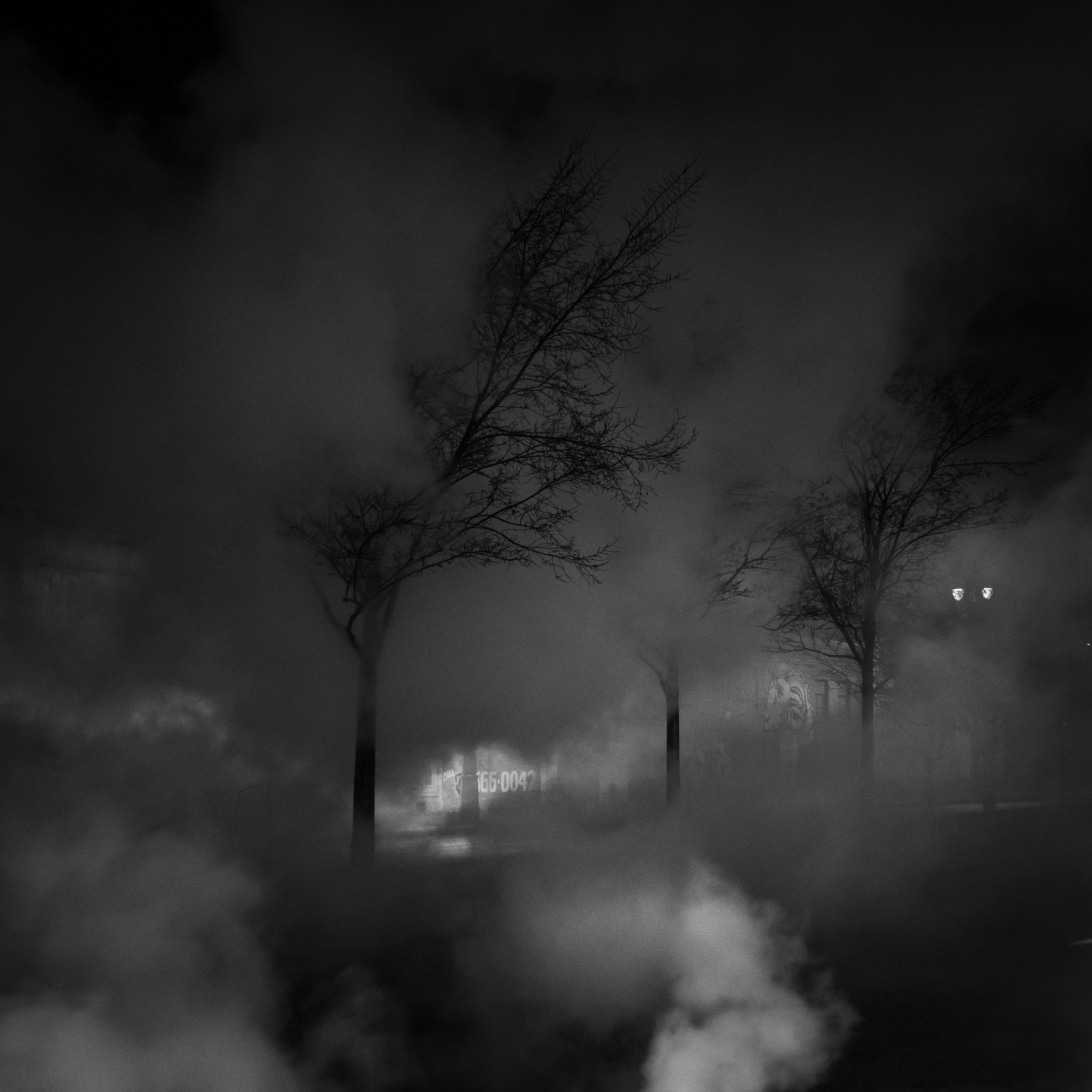 Nikon D7200 sample photo. The night consumes me photography